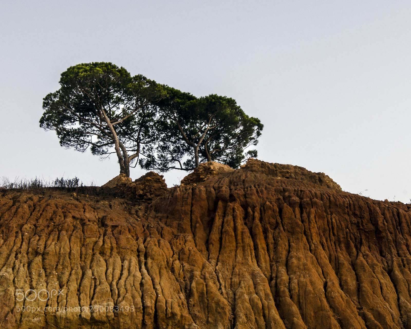 Nikon D7000 sample photo. Red earth photography