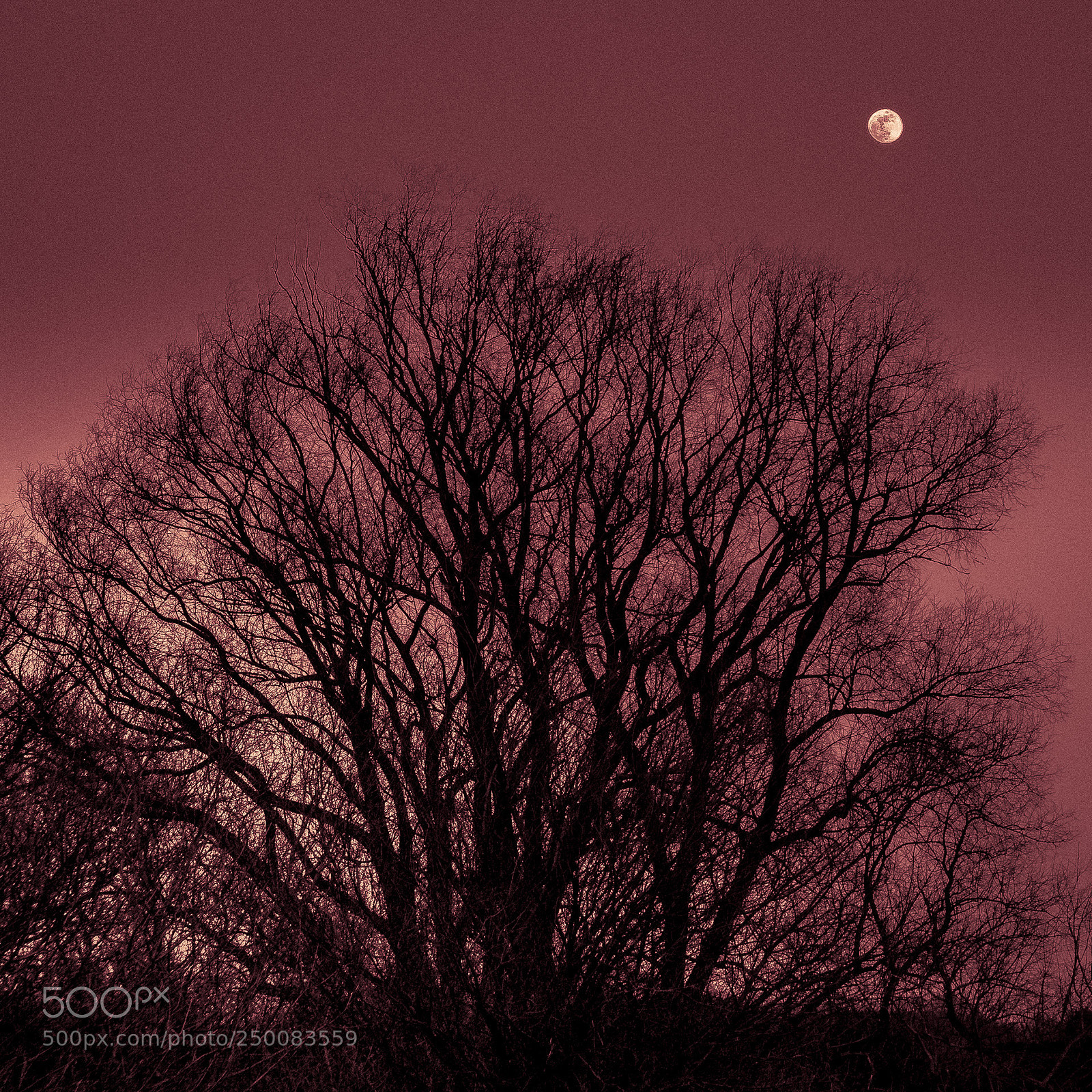 Panasonic Lumix DMC-LX100 sample photo. Lpd moon photography