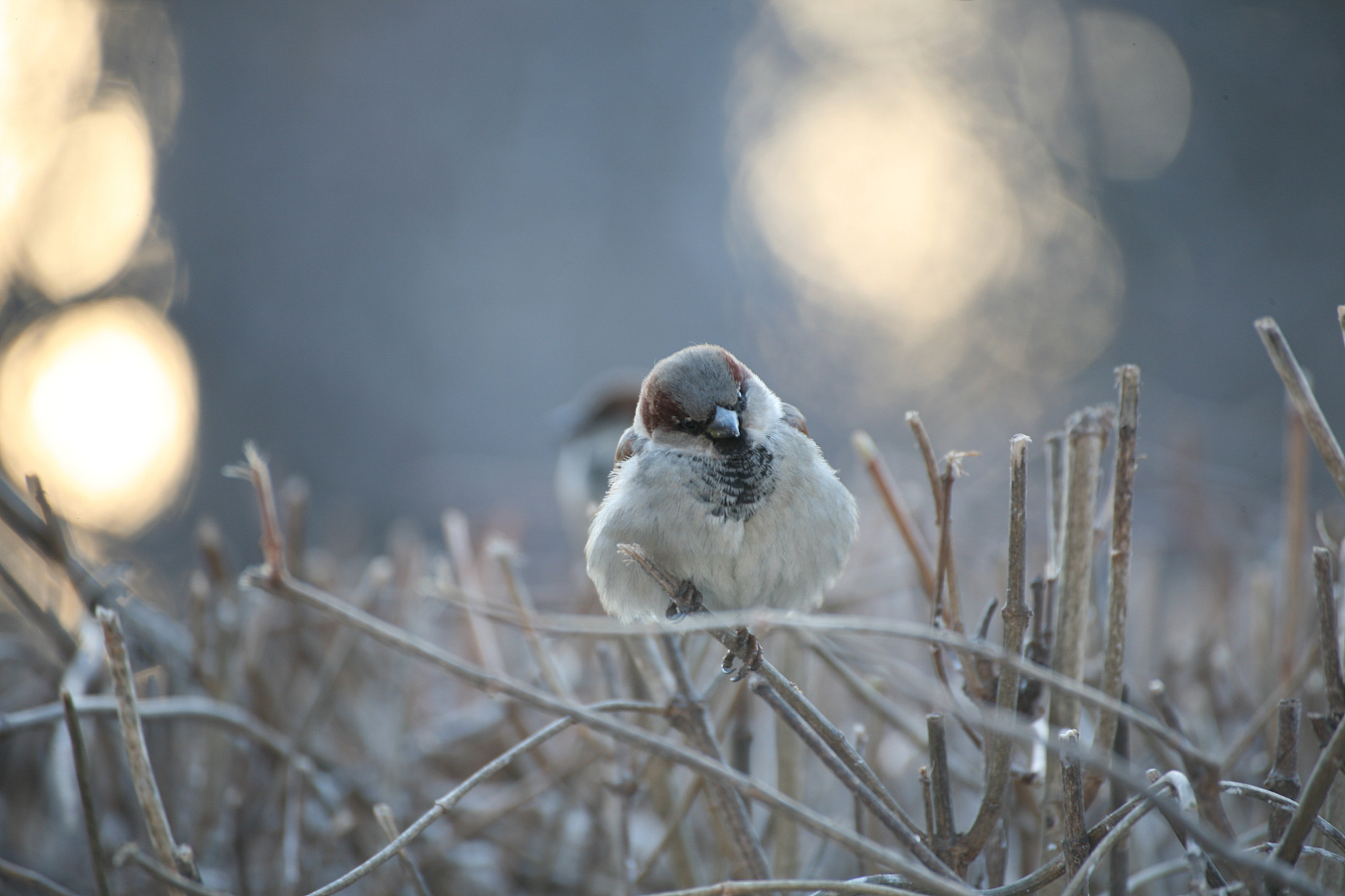 Canon EOS 5D sample photo. р photography