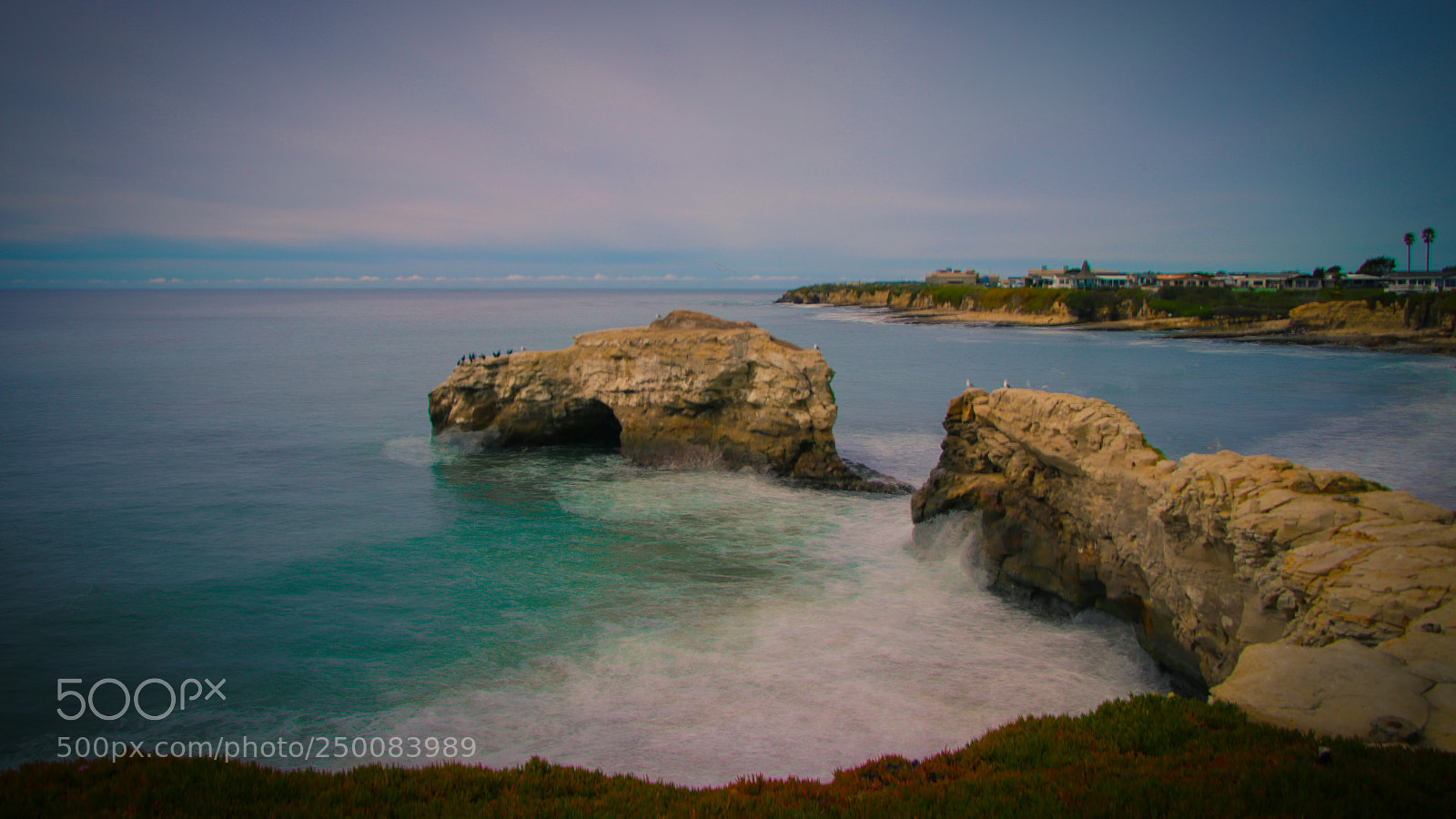 Canon EOS 80D sample photo. Natural bridges, santa cruz! photography