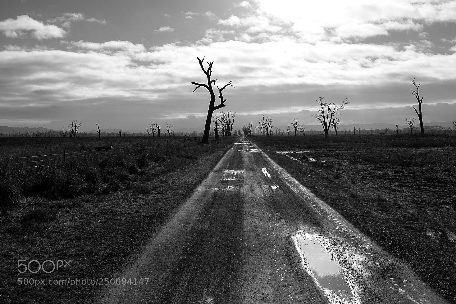 Fujifilm X-T2 sample photo. Winton wetlands photography