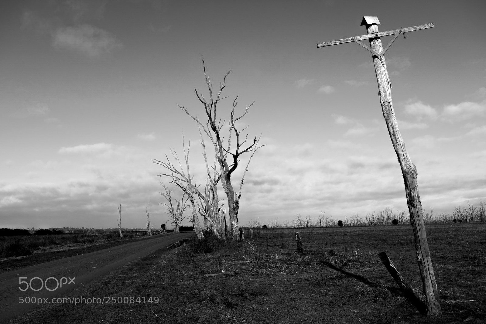 Fujifilm X-T2 sample photo. Winton wetlands photography