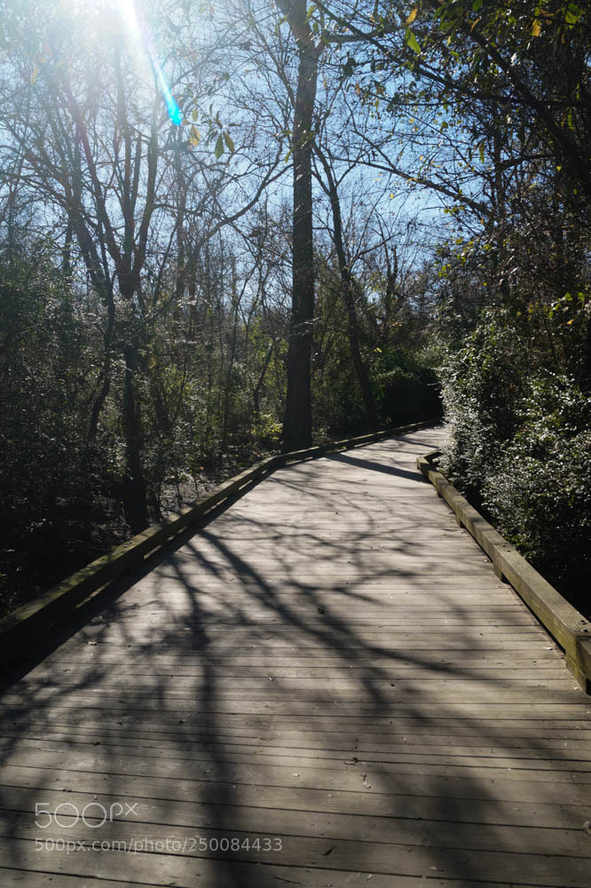 Sony SLT-A58 sample photo. Josie thomas photography