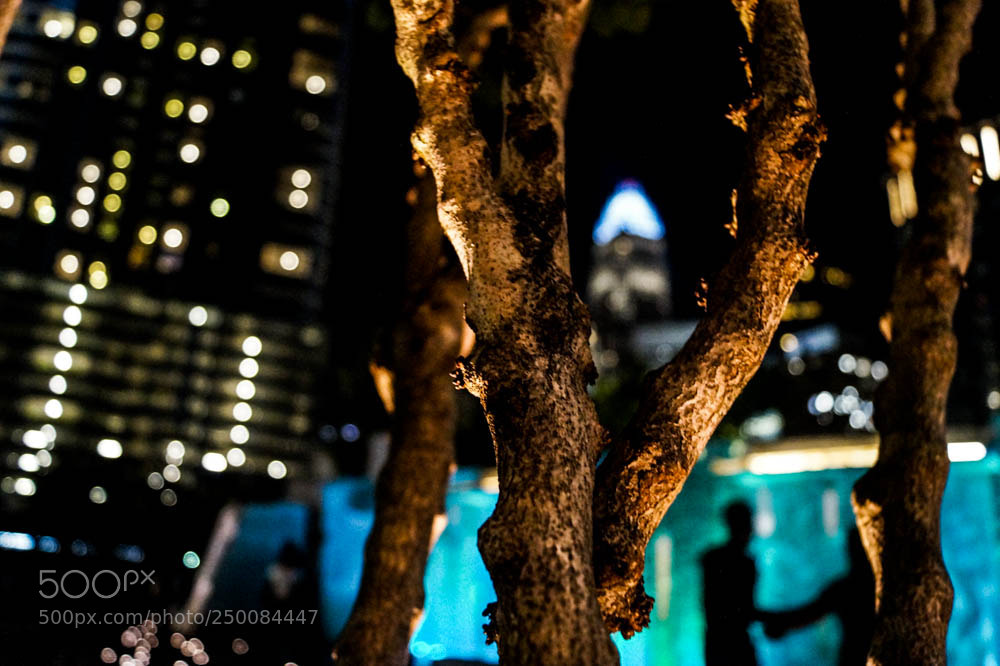 Sony SLT-A58 sample photo. Josie thomas photography