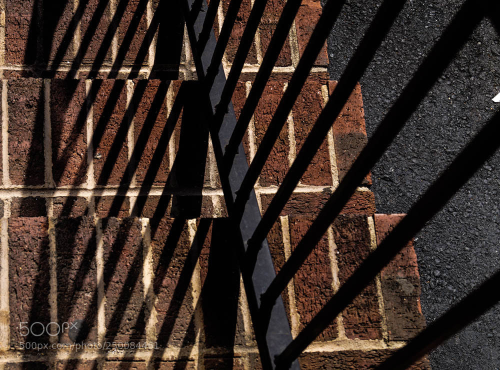 Sony SLT-A58 sample photo. Josie thomas photography