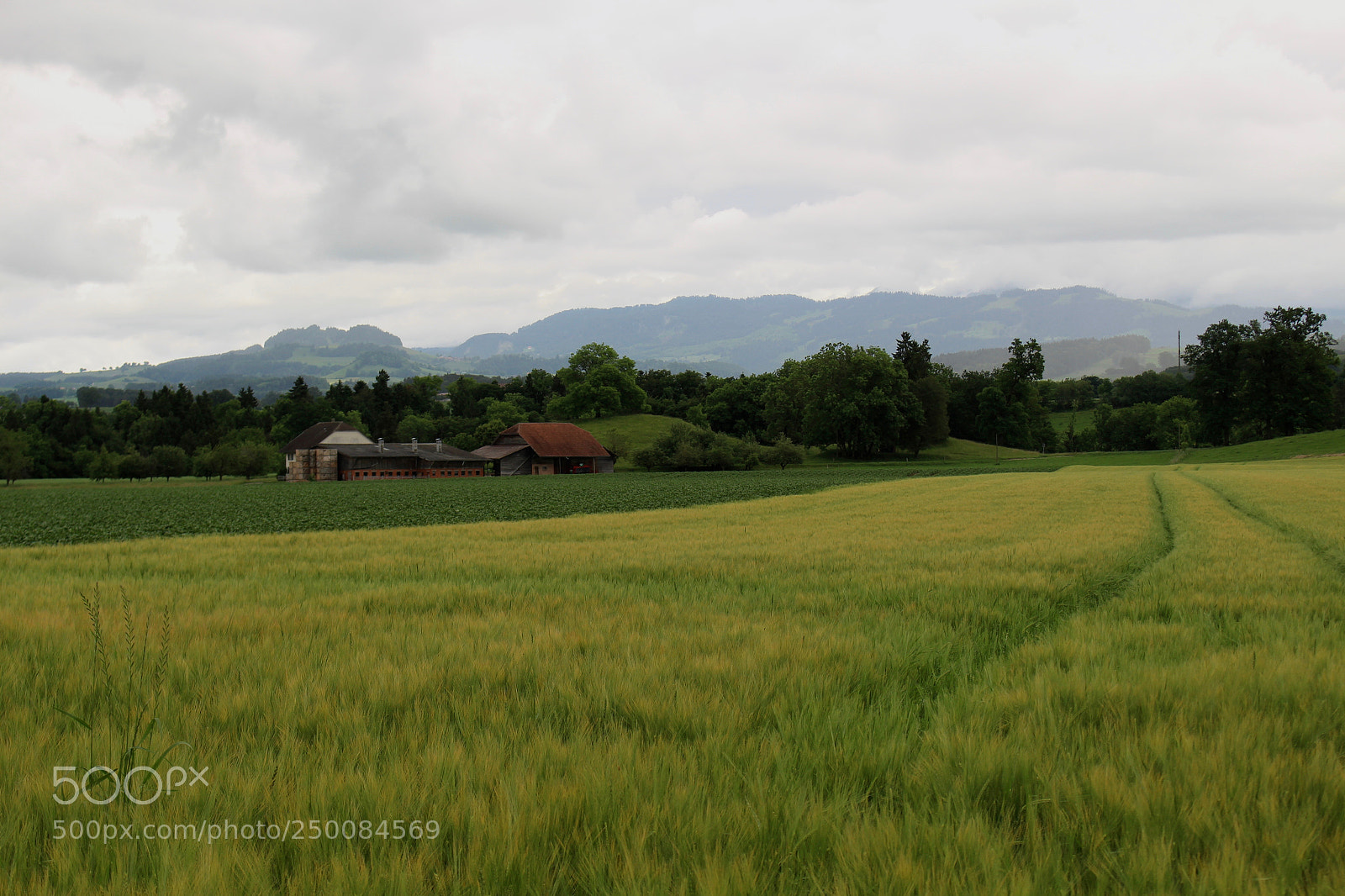 Canon EOS 100D (EOS Rebel SL1 / EOS Kiss X7) sample photo. Fields before rain photography