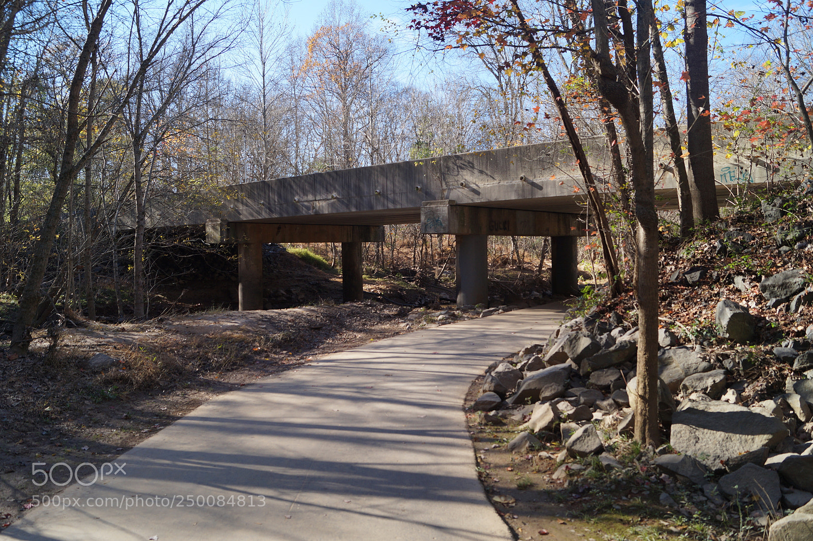 Sony SLT-A58 sample photo. Dsc photography
