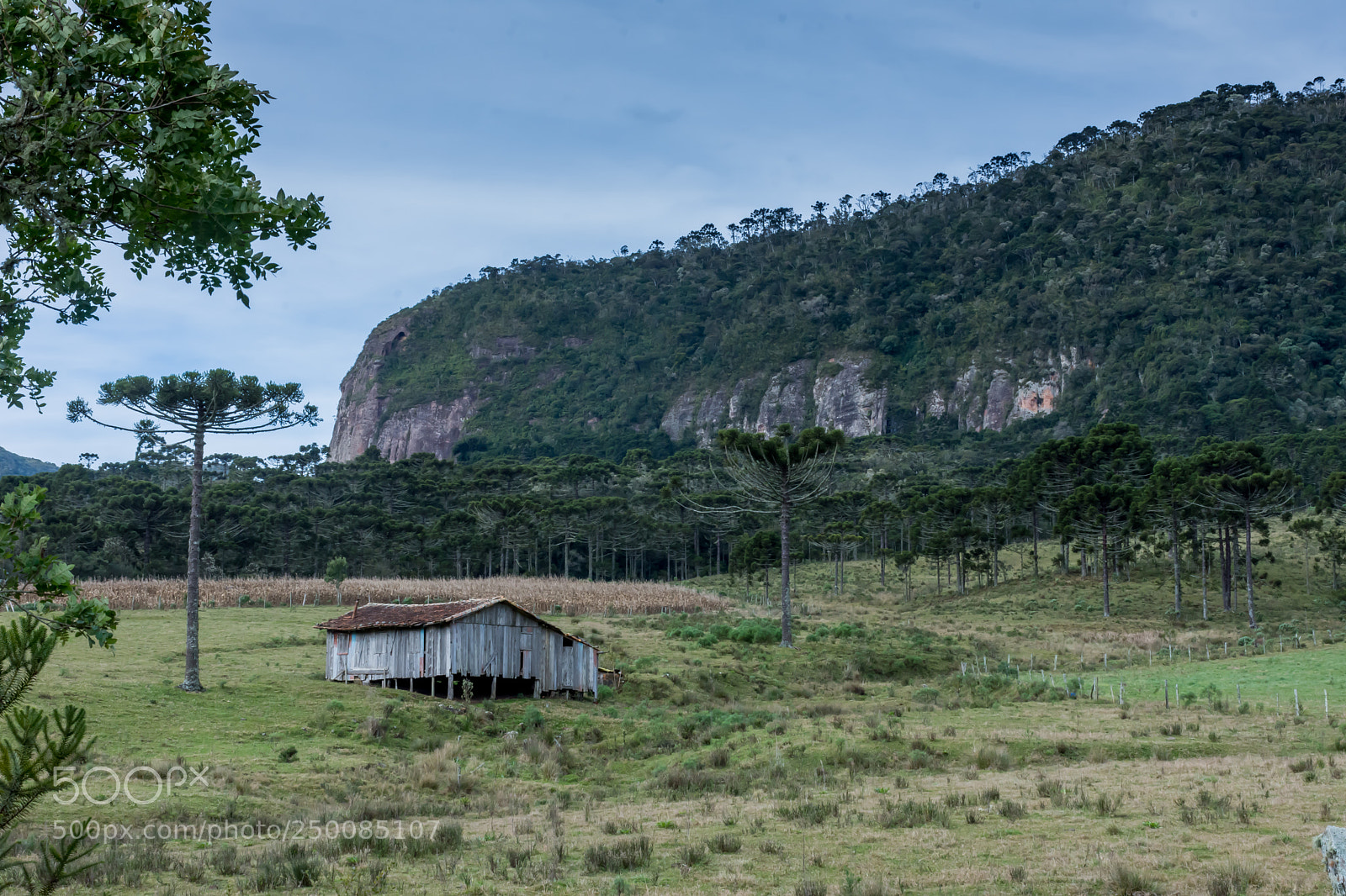 Nikon D7200 sample photo. Farm photography