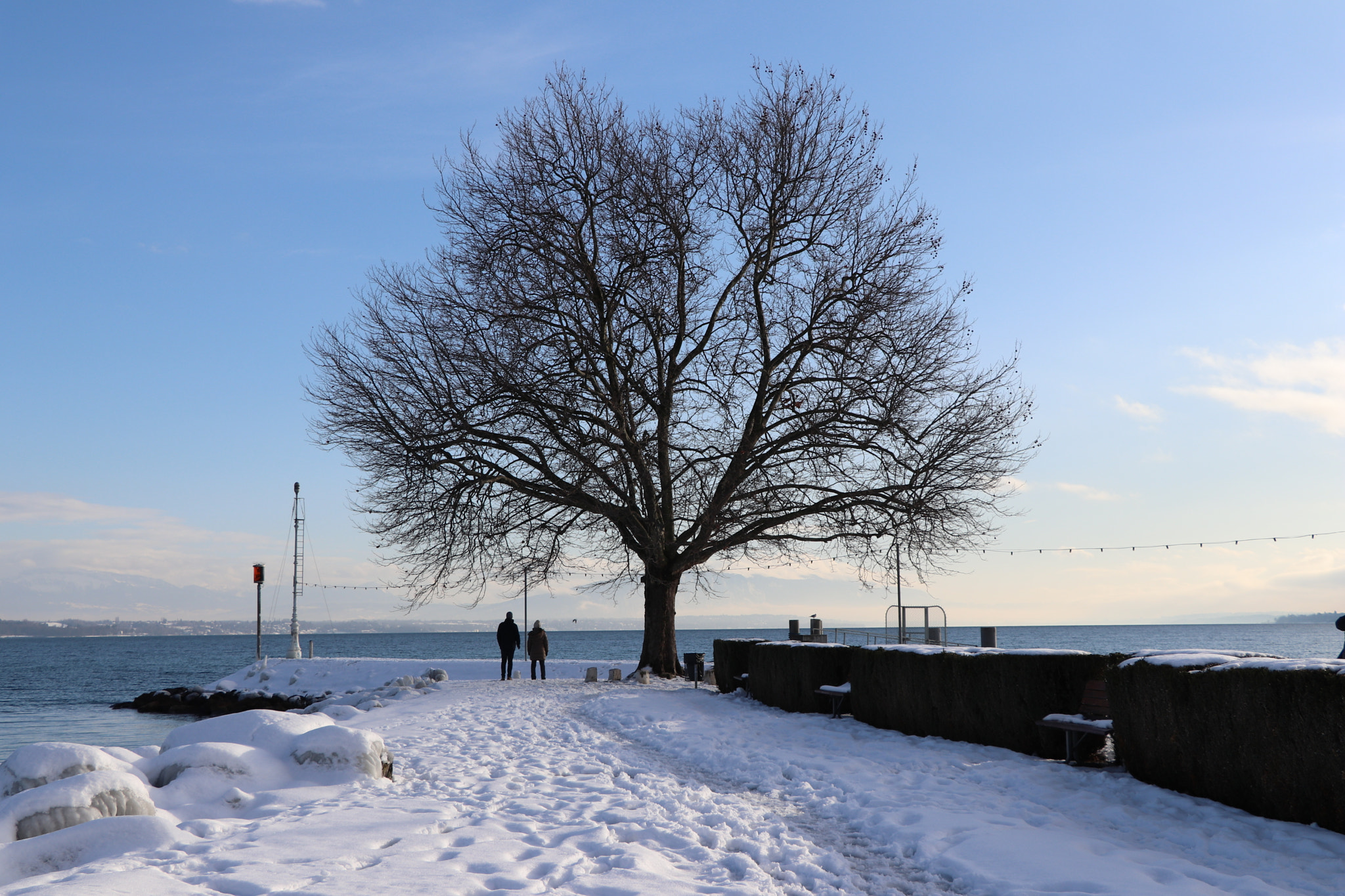 Canon EOS 77D (EOS 9000D / EOS 770D) sample photo. Relax! photography