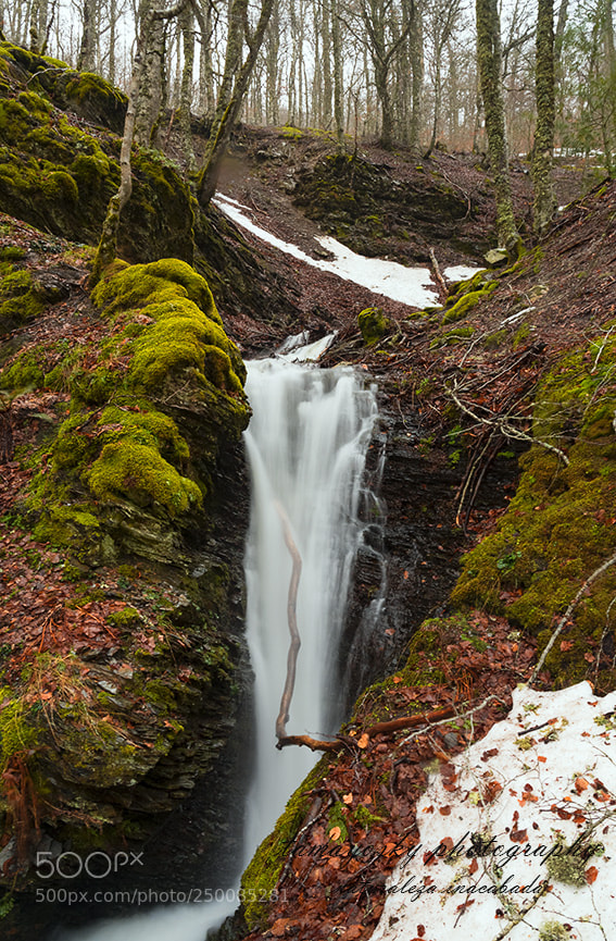 Nikon D810 sample photo. Fresh stream in the photography
