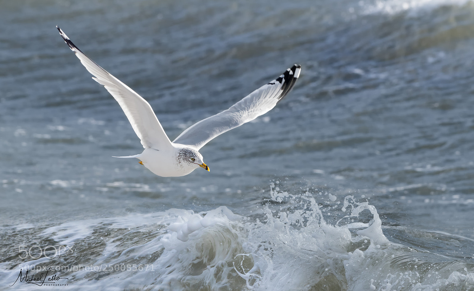 Nikon D500 sample photo. Surf's up photography