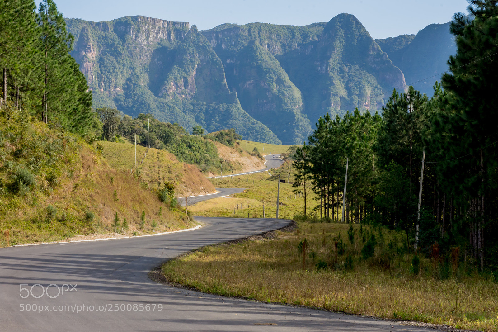 Nikon D7200 sample photo. By the road photography