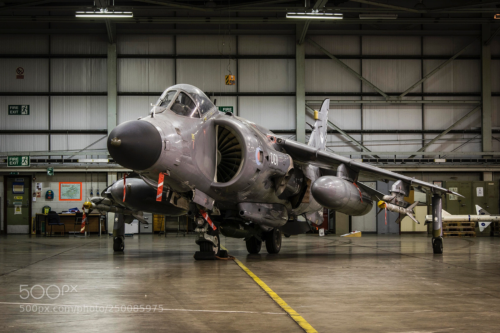 Nikon D3300 sample photo. Harrier gr7 photography
