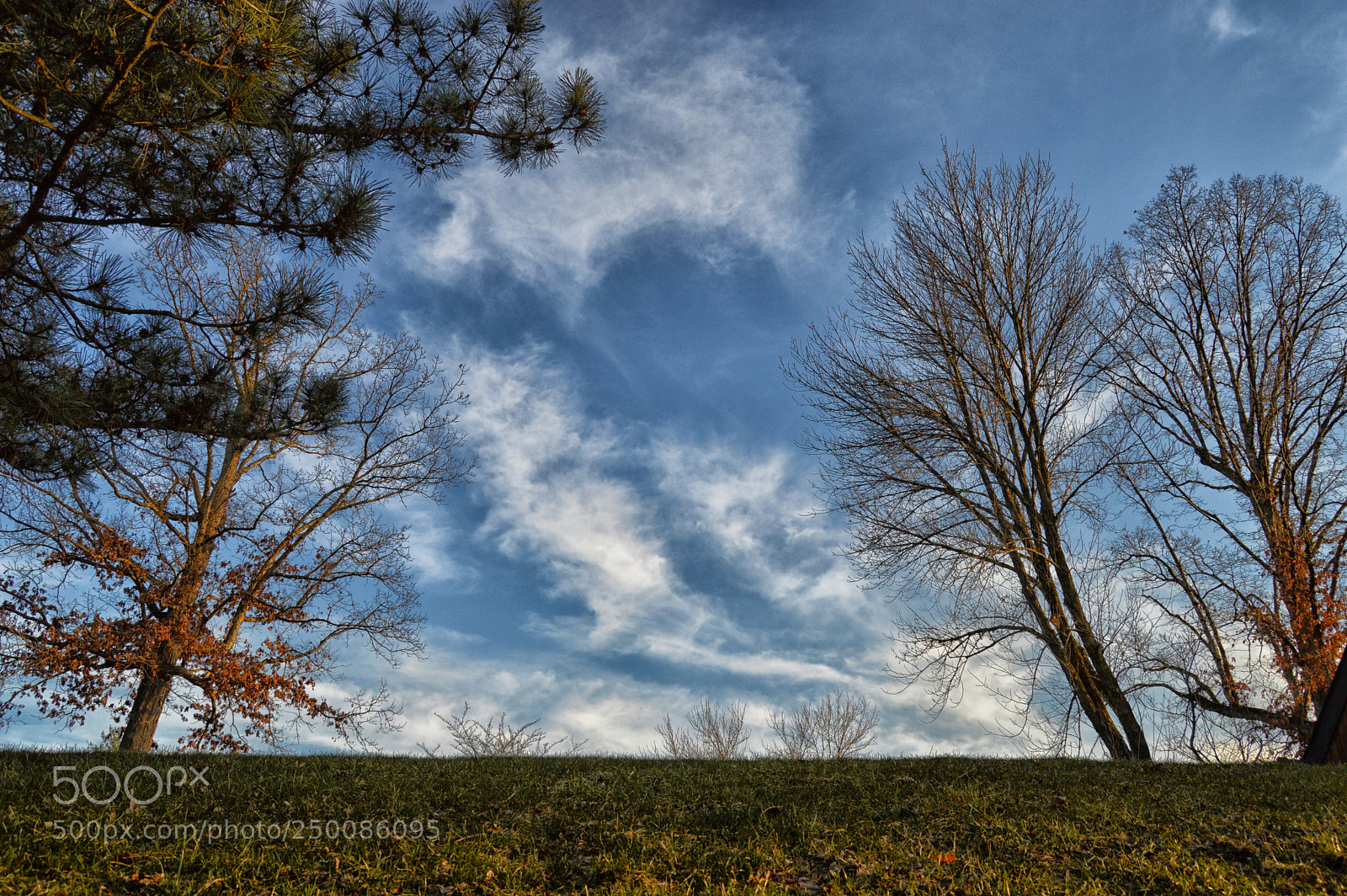 Nikon D3200 sample photo. Cloud trees photography