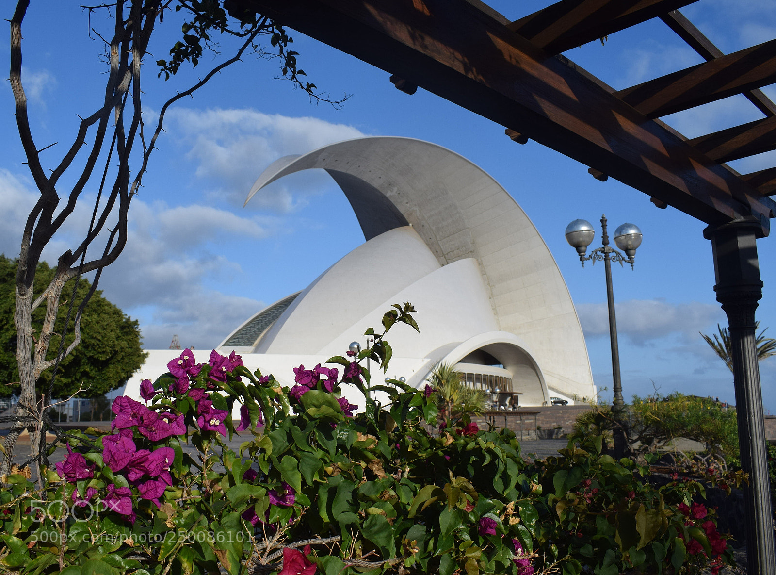 Nikon D5300 sample photo. Auditorio de tenerife photography