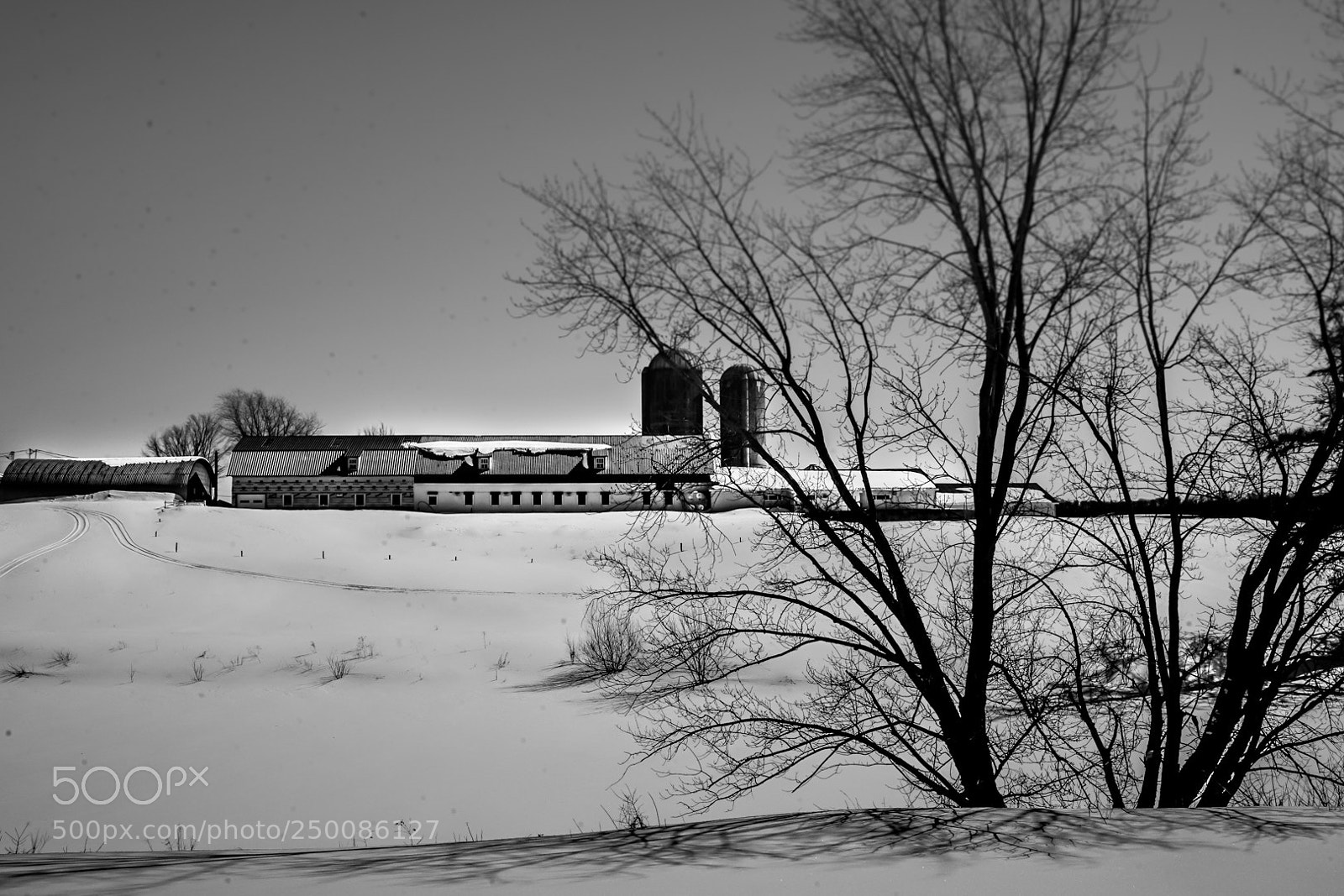 Sony a7 II sample photo. Saint-paulin photography