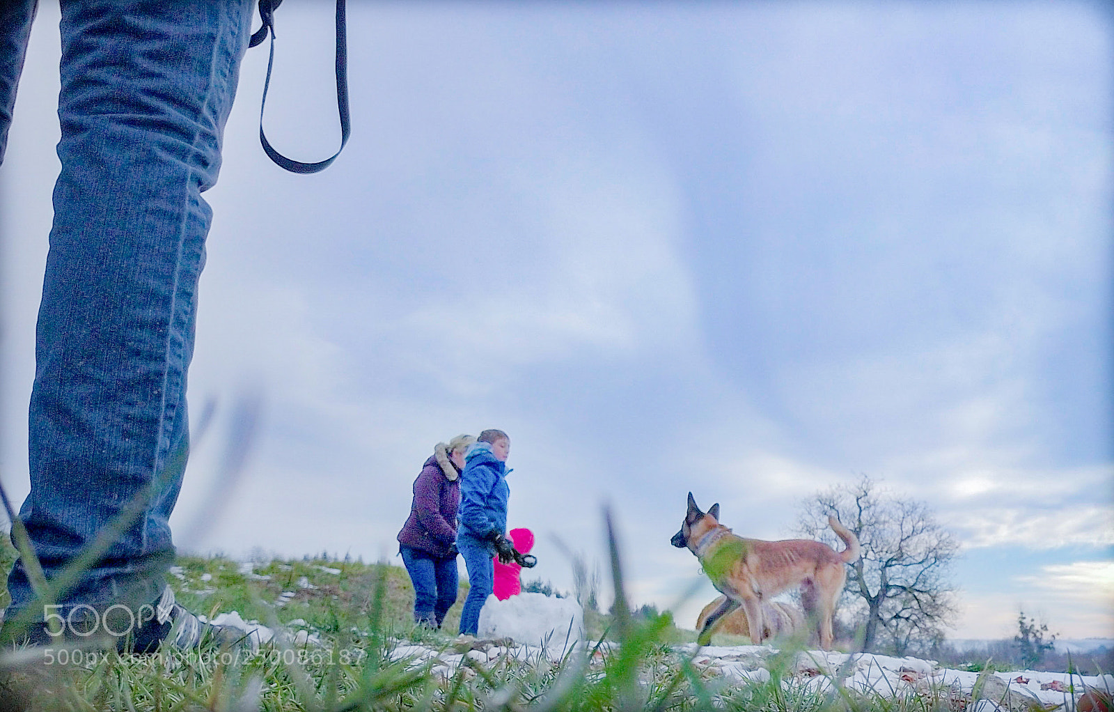 DJI FC220 sample photo. L'homme et son chien photography