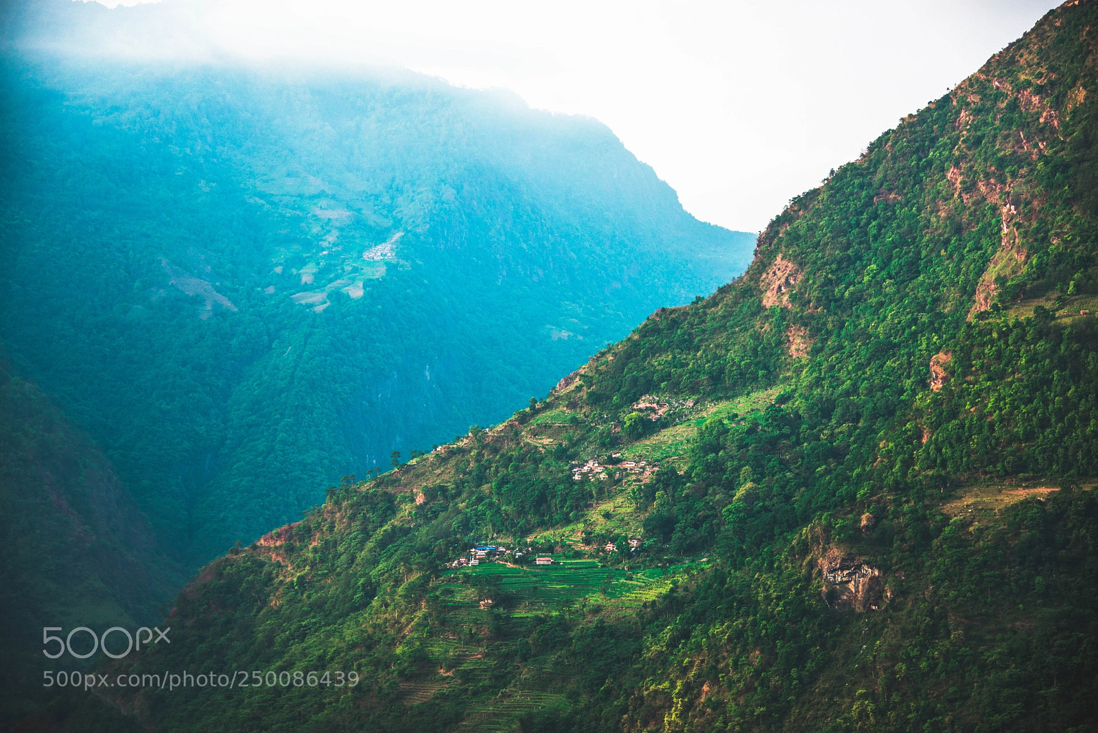 Nikon D610 sample photo. Foothills of the himalayas photography