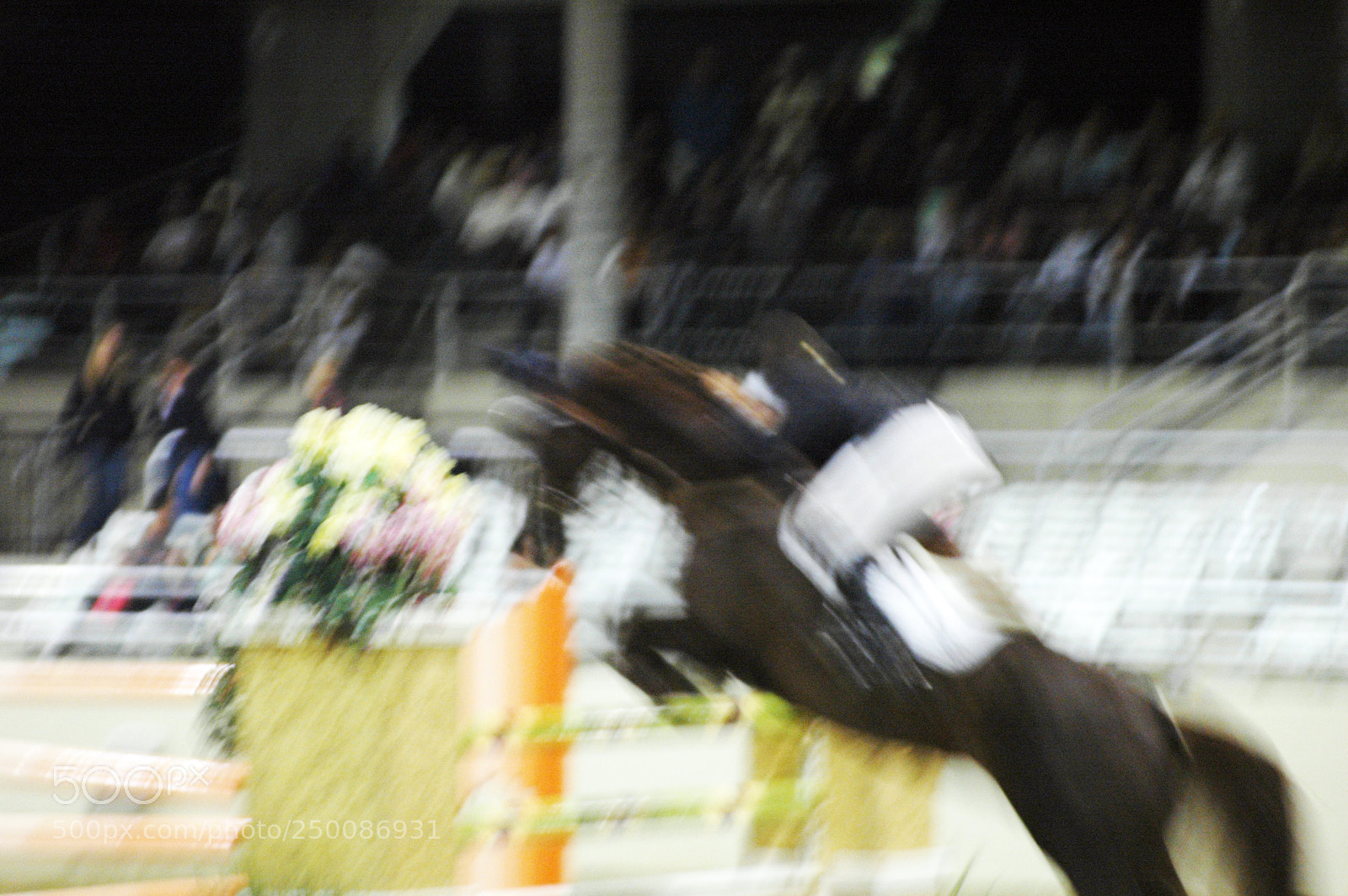 Nikon D70 sample photo. Movement photography
