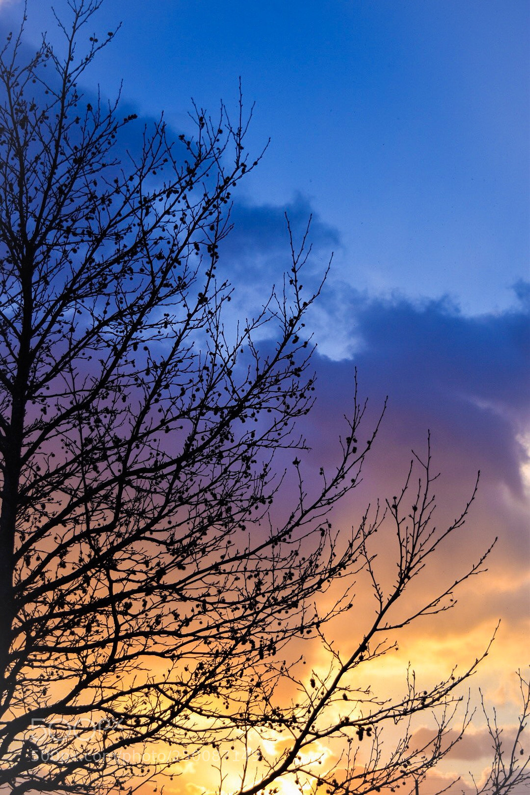 Nikon D5500 sample photo. Untitled photography