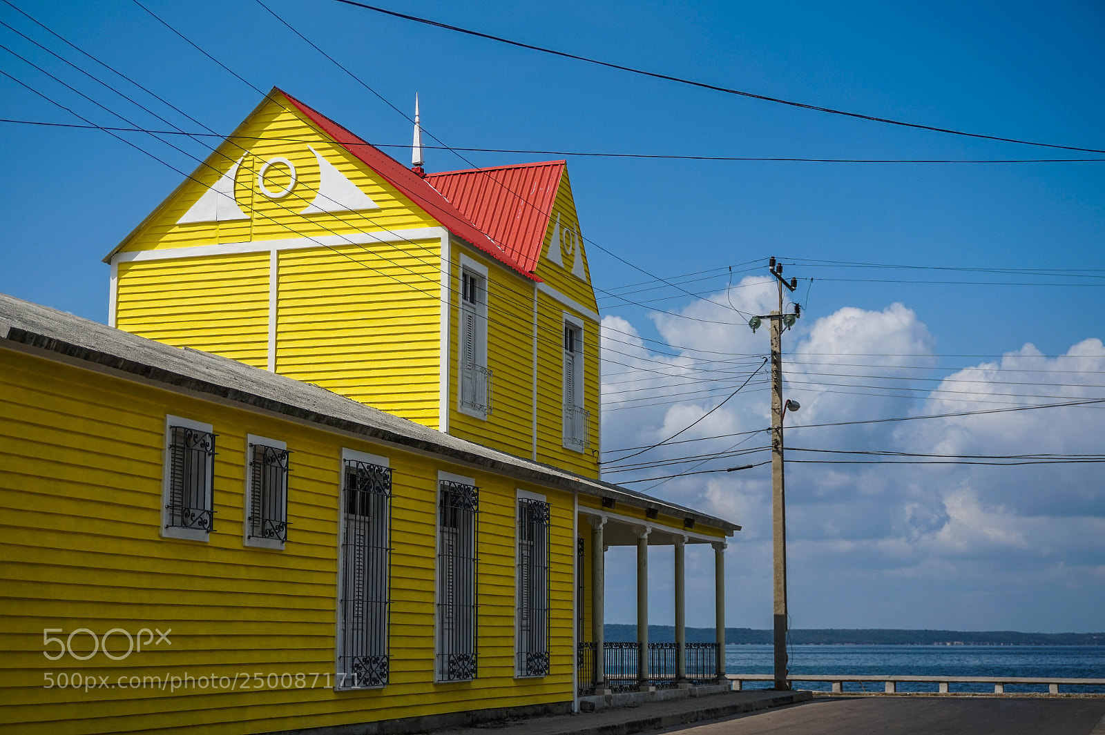 Sony Alpha a5000 (ILCE 5000) sample photo. Yellow photography