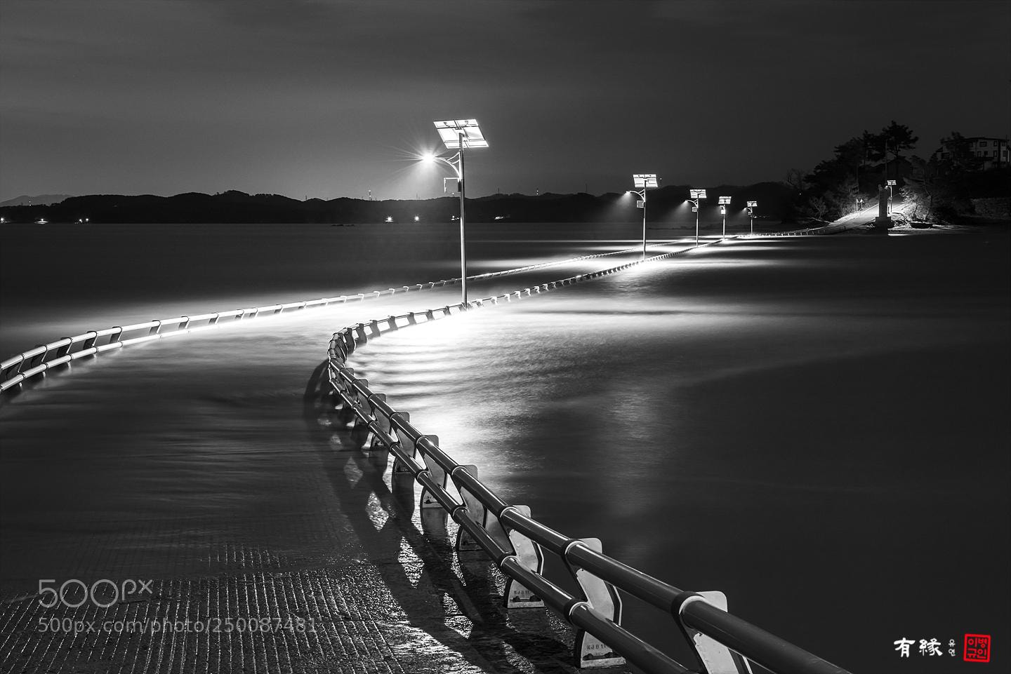 Nikon D810 sample photo. . photography