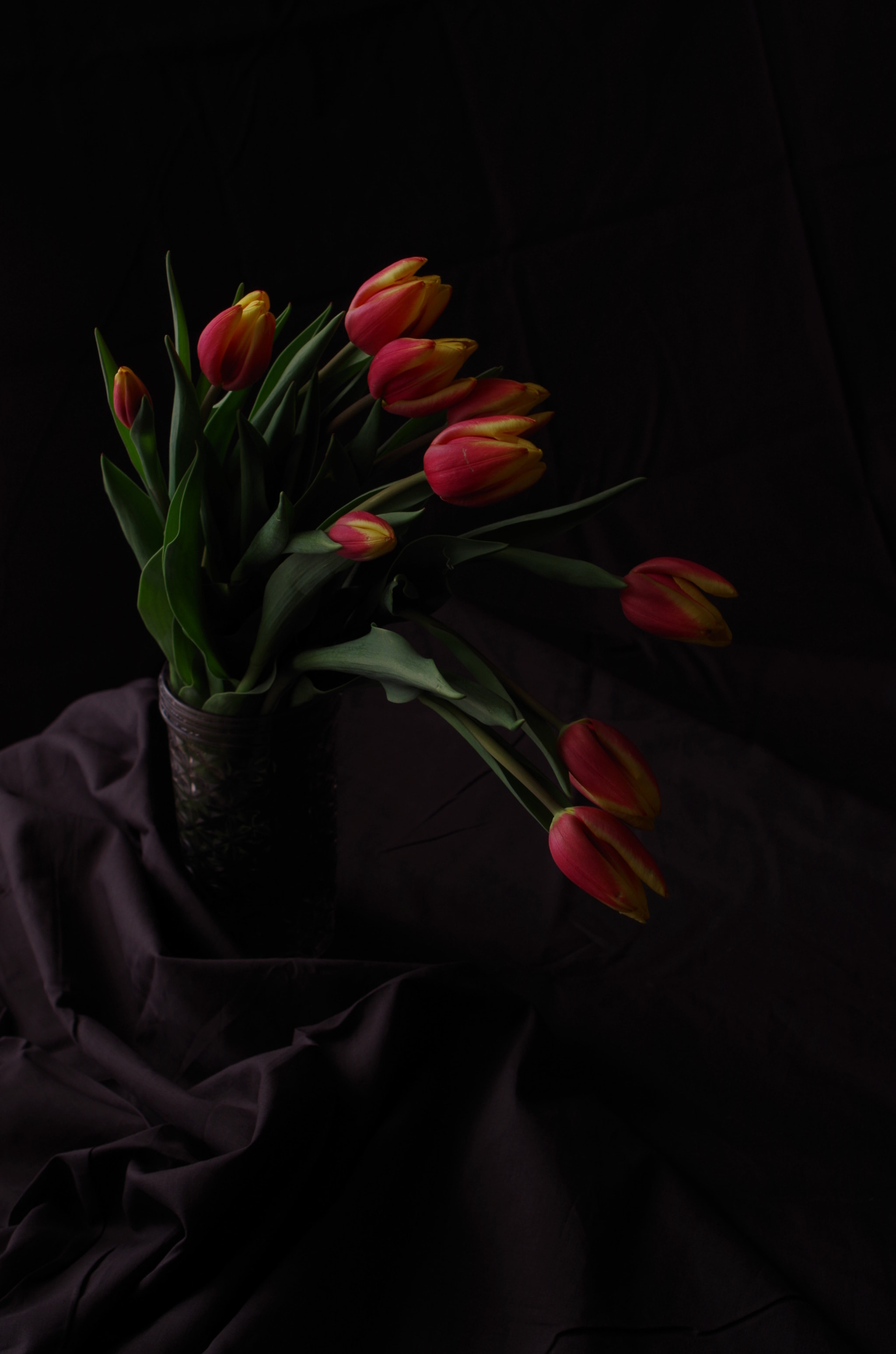 Pentax K-50 sample photo. Spring photography
