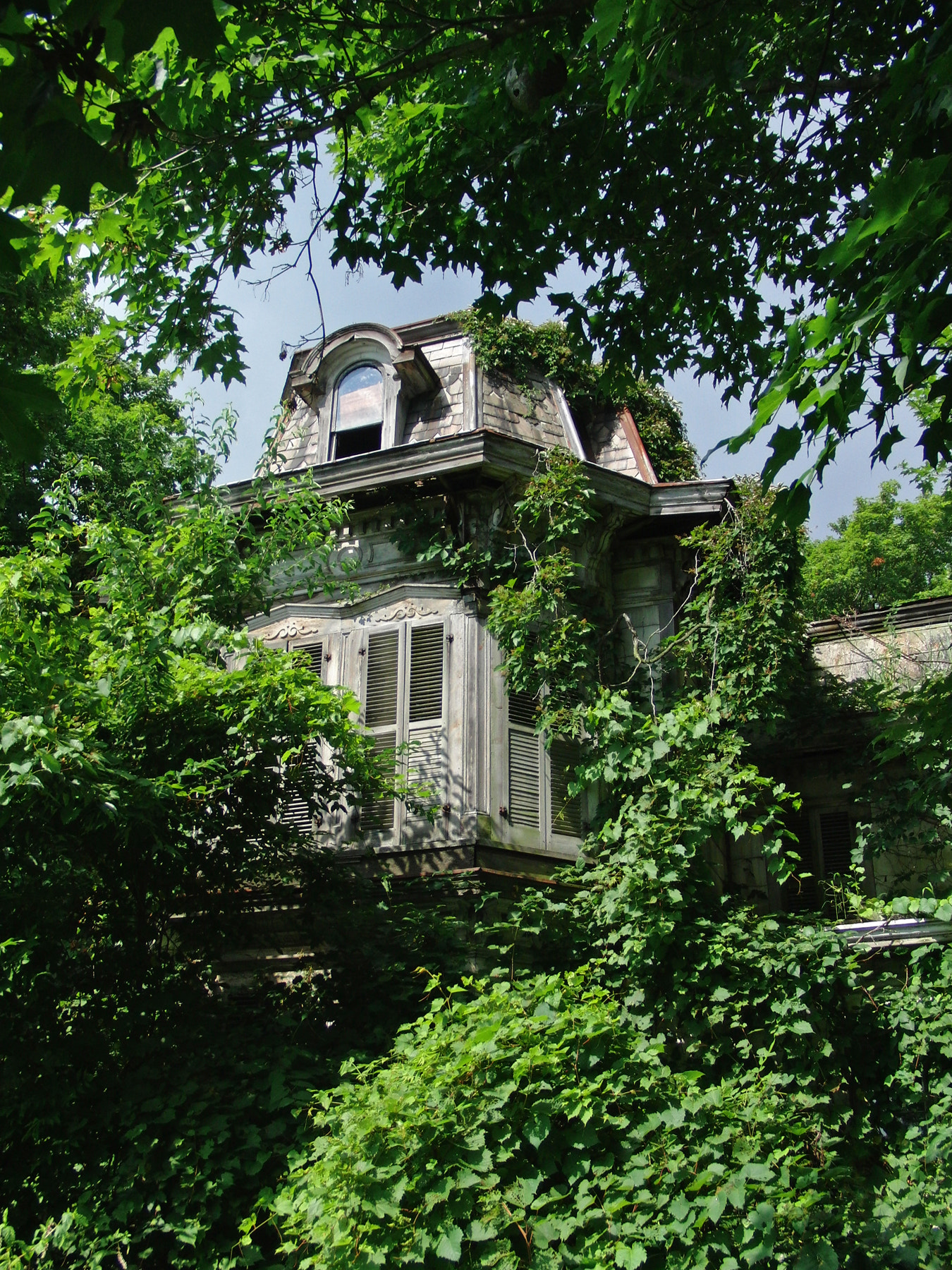 CASIO EX-FC100 sample photo. Schaeffer house — erie county, ohio photography