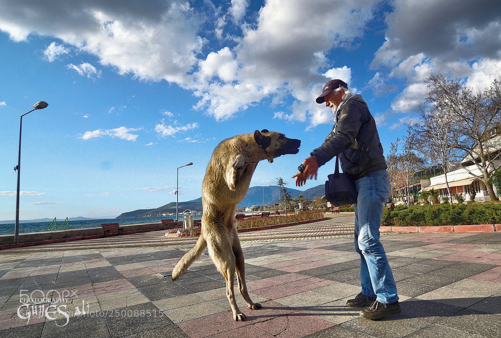 Nikon D7100 sample photo. Karşılaşma anı..!!! photography