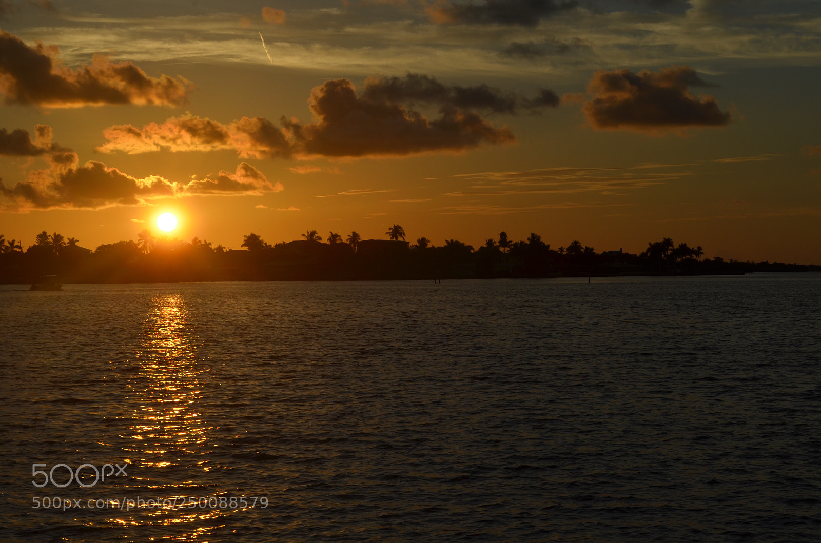 Nikon D5100 sample photo. Key west
 photography