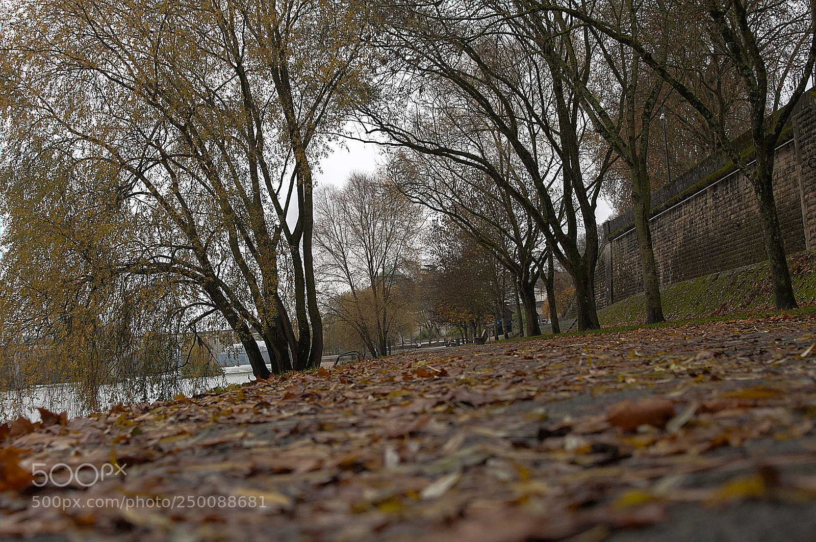 Nikon D5000 sample photo. La loira photography