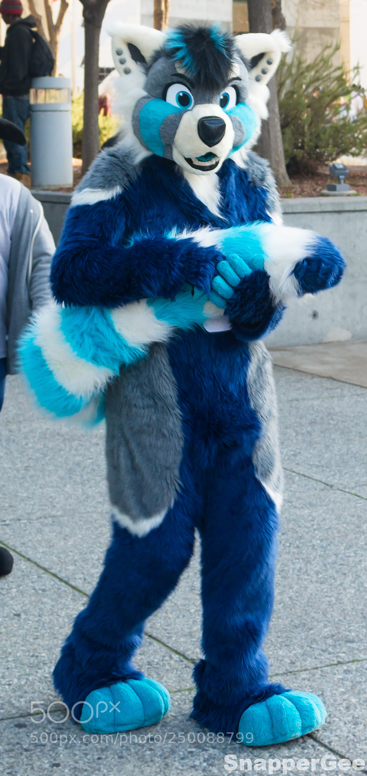 Nikon D7100 sample photo. Handful of floof photography