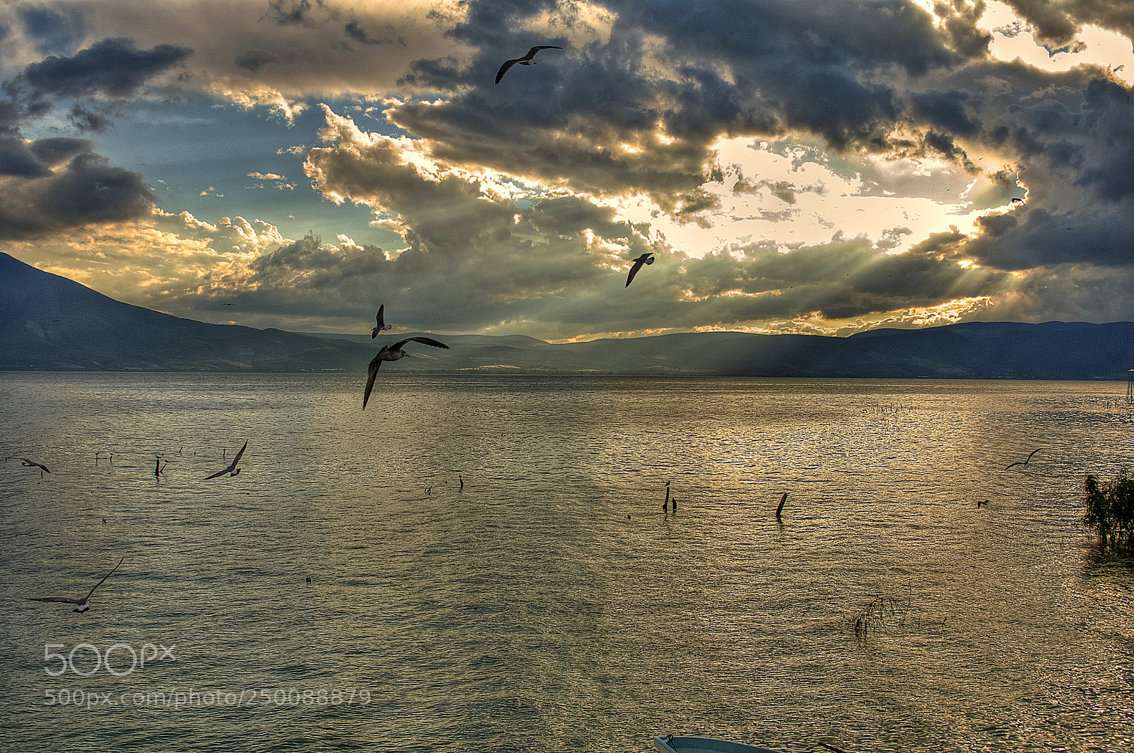 Nikon D5000 sample photo. Lago de chapala al photography