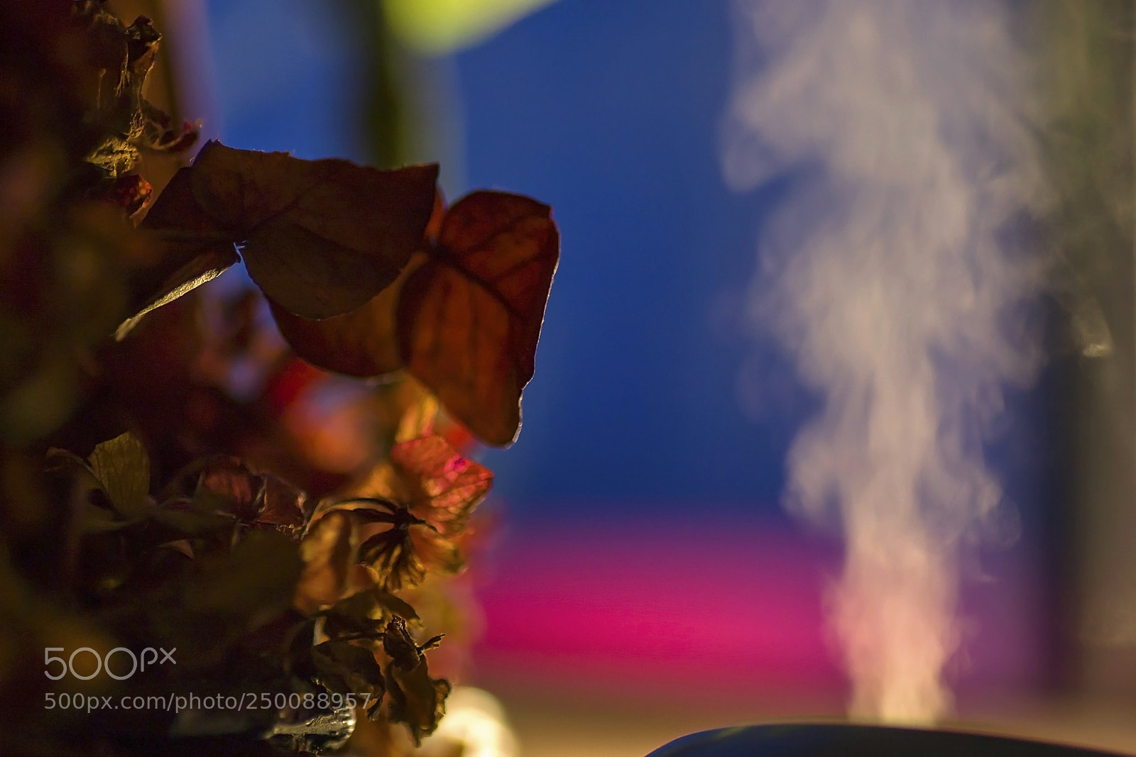 Canon EOS 40D sample photo. One moment in time... photography