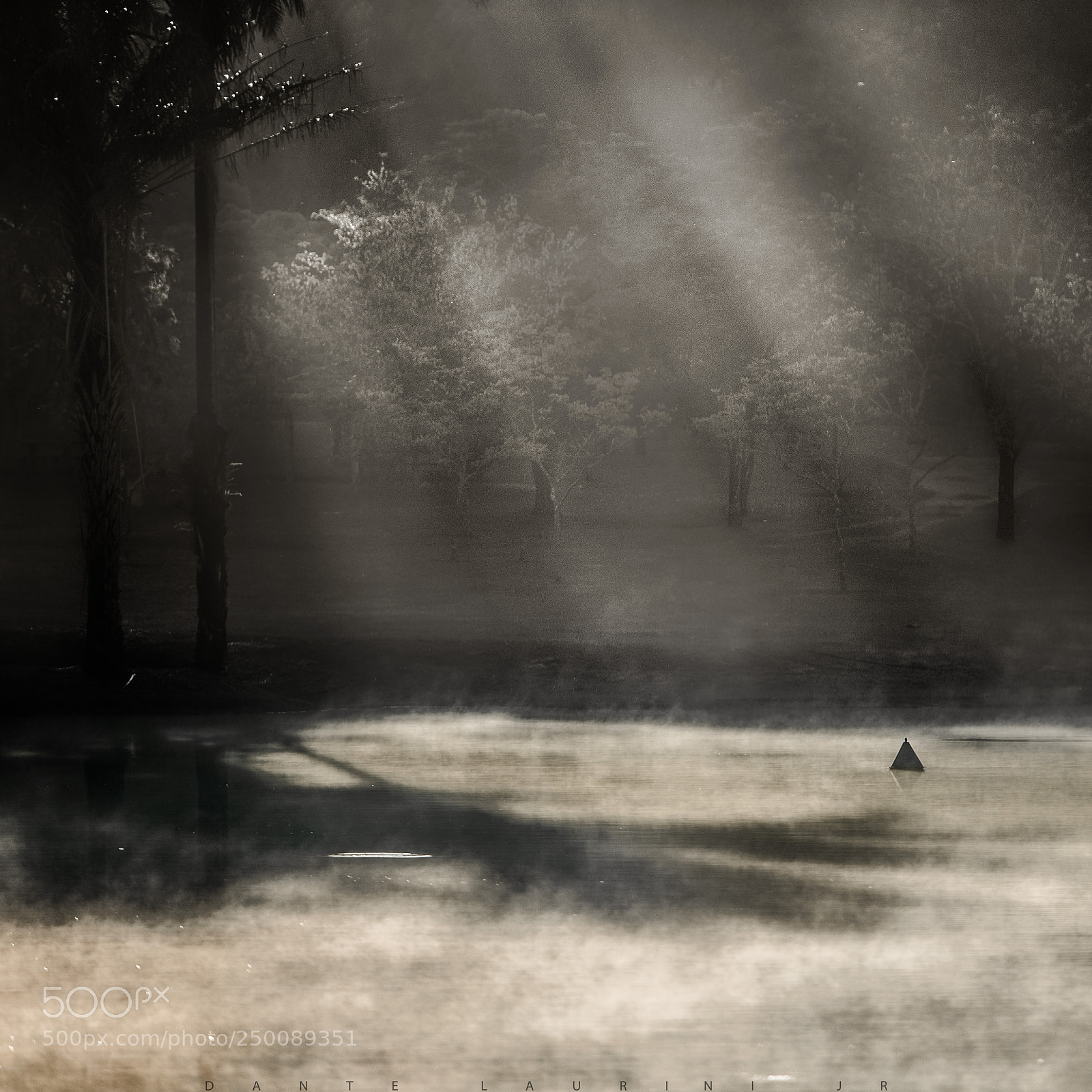 Nikon D800 sample photo. Crossing light photography