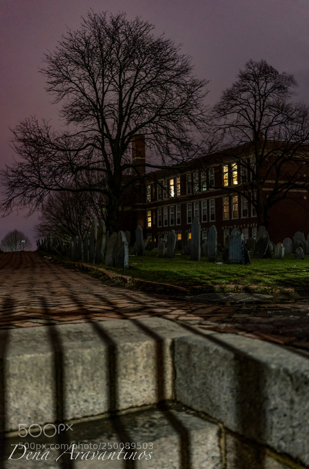 Sony a7R II sample photo. Burial ground photography