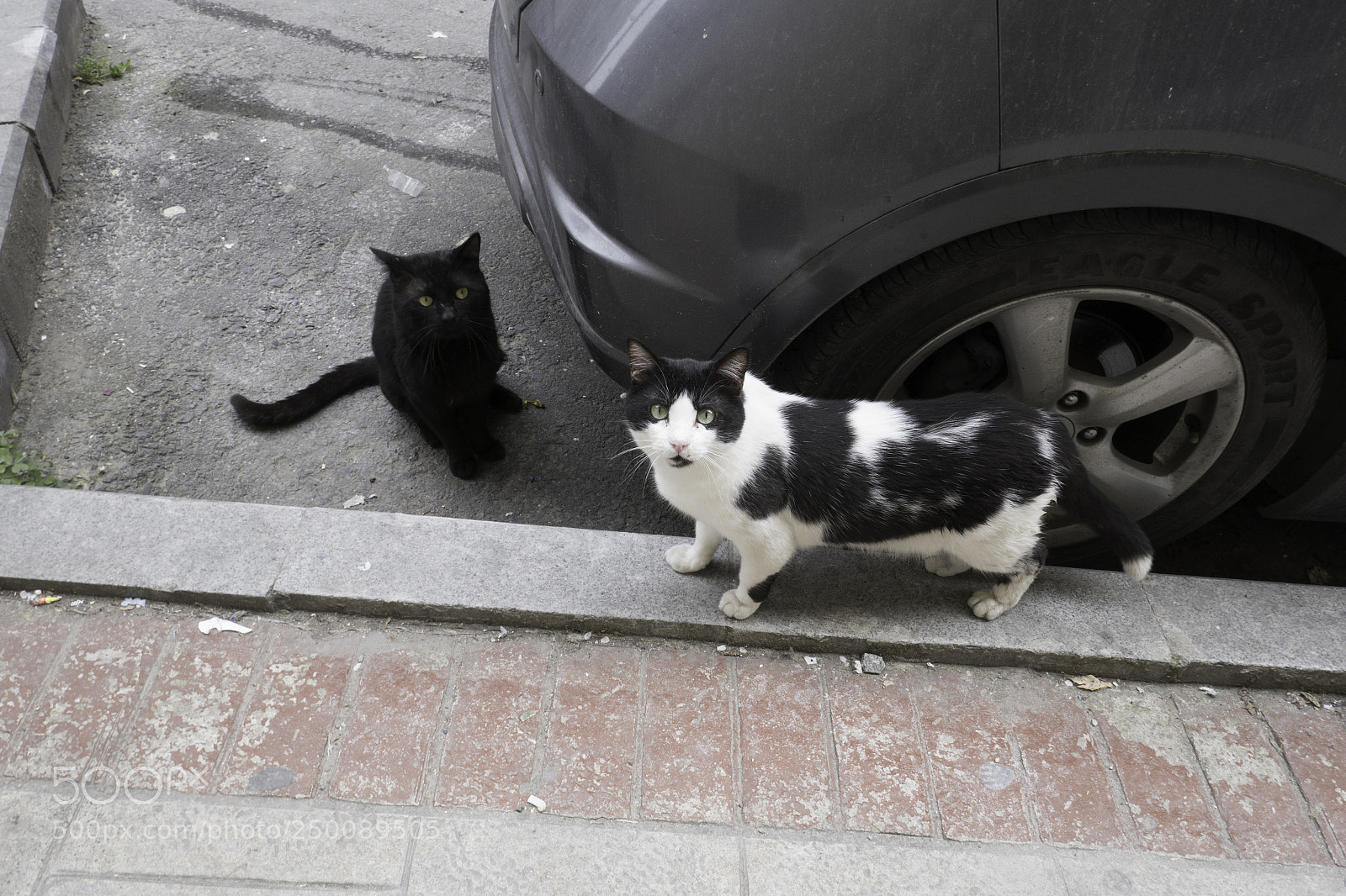 Panasonic Lumix DMC-ZS100 (Lumix DMC-TZ100) sample photo. Istanbul march photography