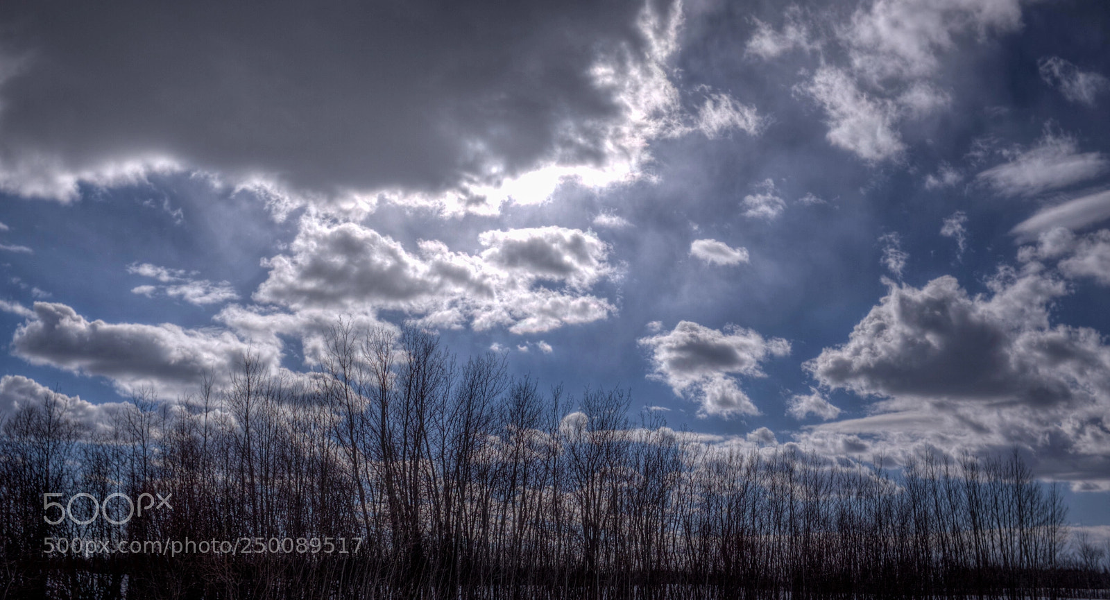 Canon EOS 50D sample photo. Cloudy, but sunny photography