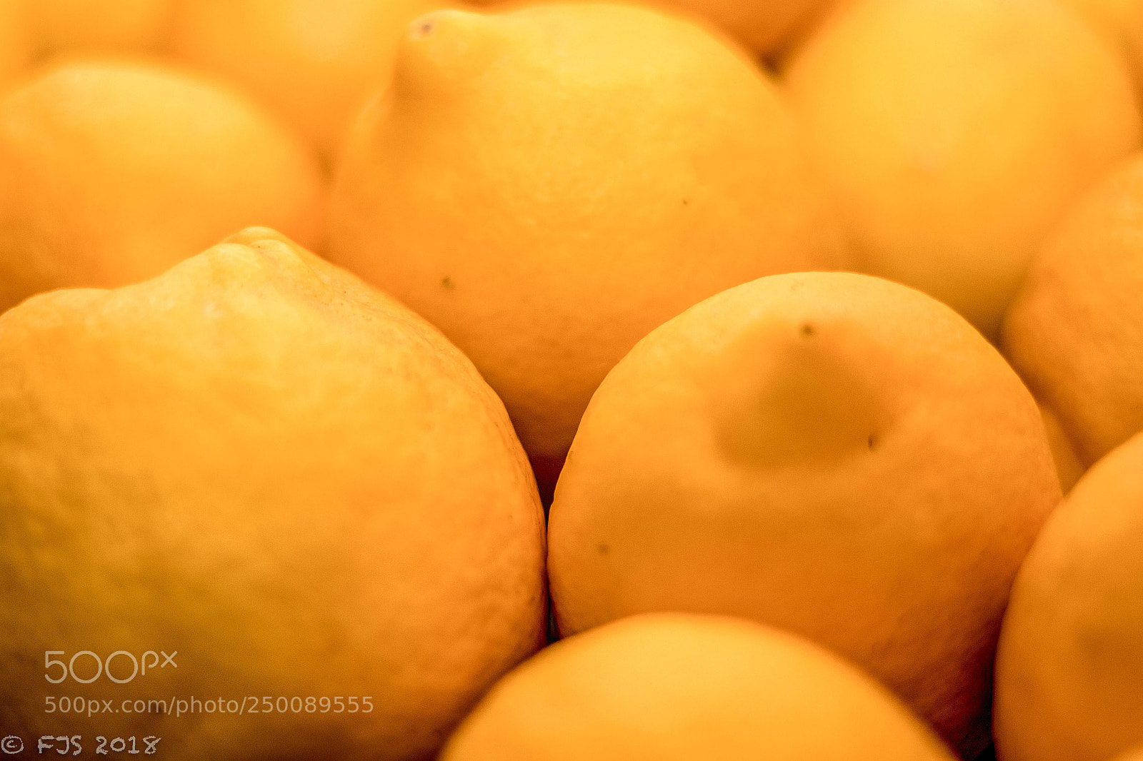 Canon EOS 7D Mark II sample photo. Lemons photography
