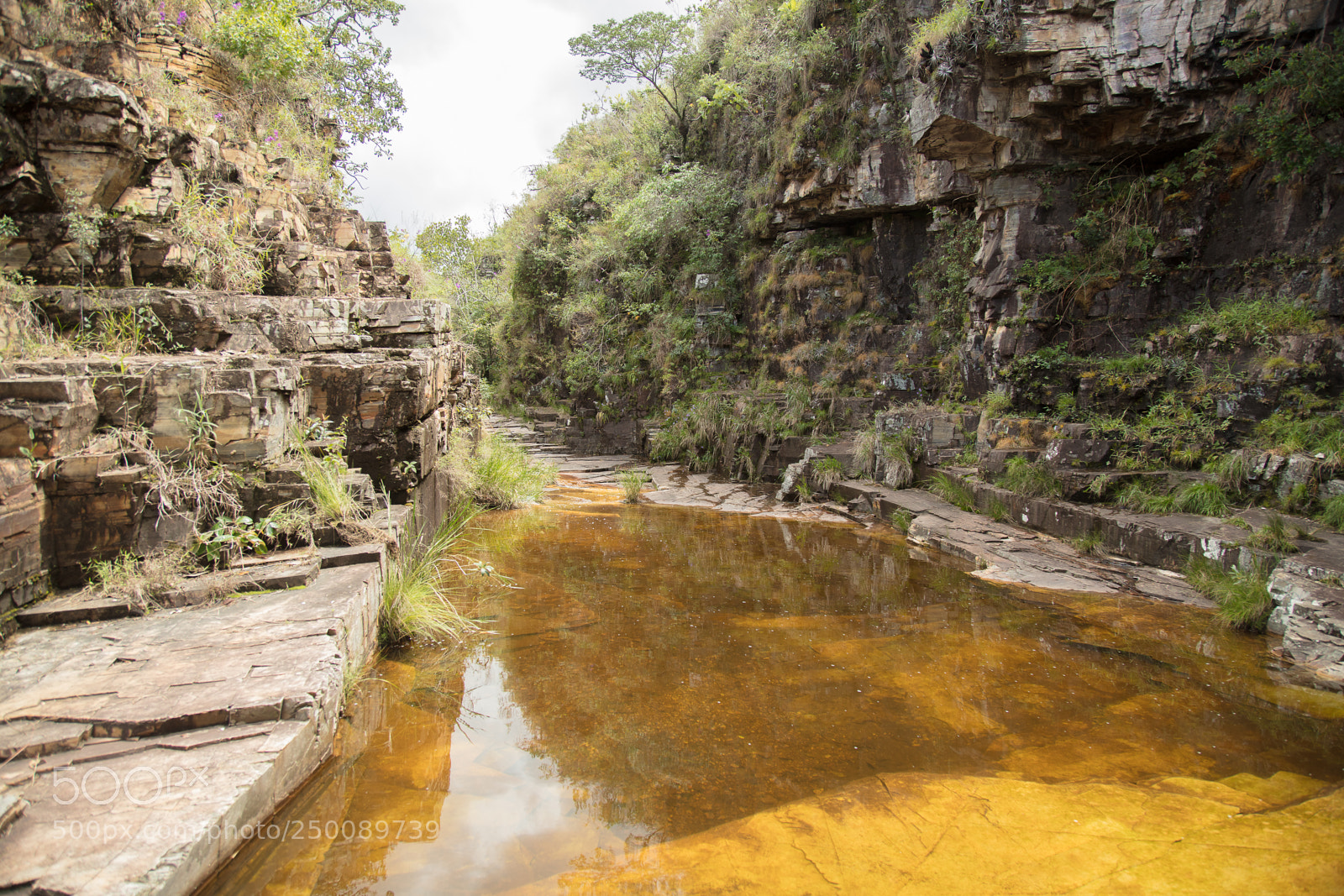 Canon EOS 5DS R sample photo. Capit lio - minas photography