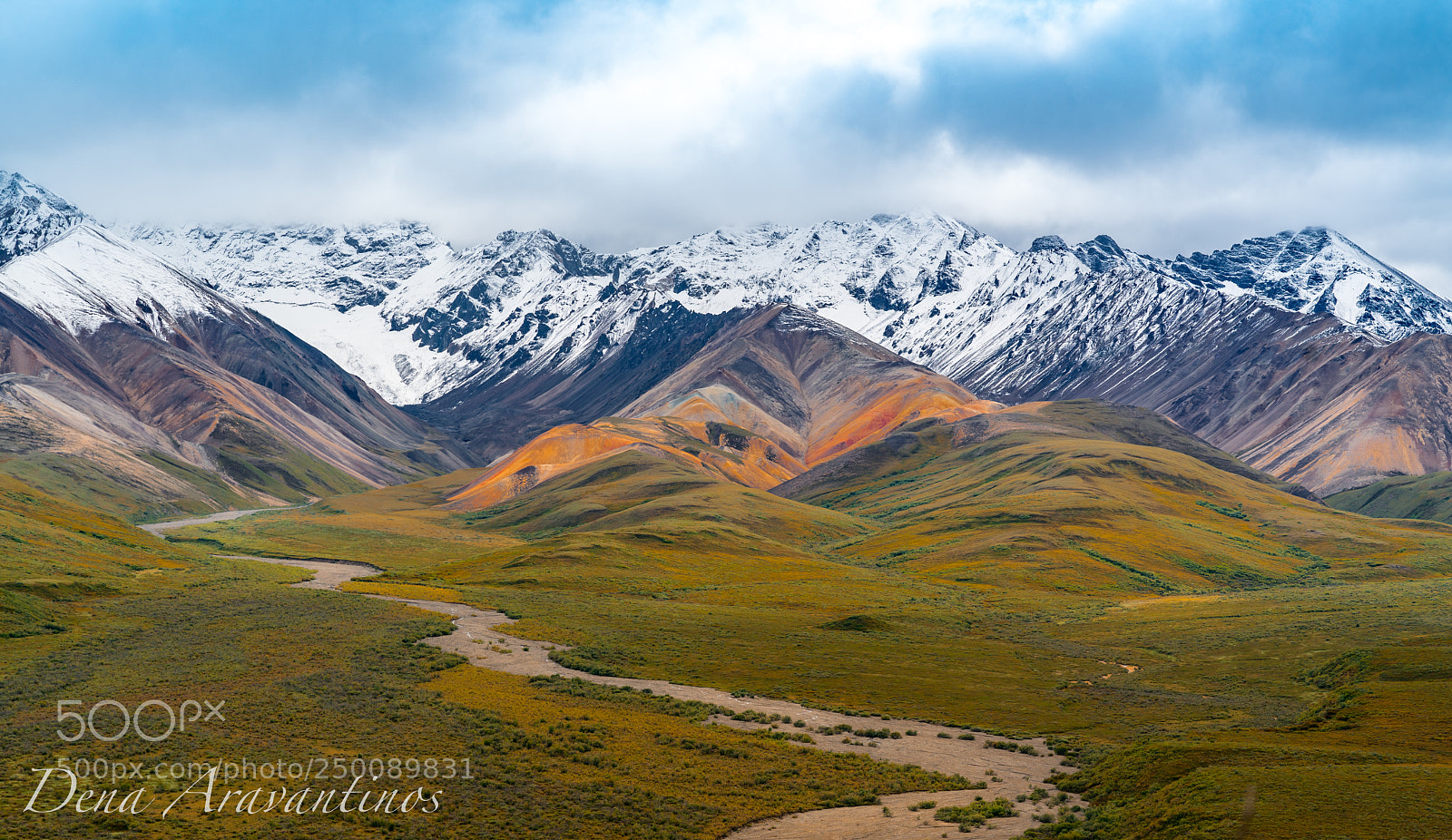 Sony a7R II sample photo. Polychrome splendor... photography