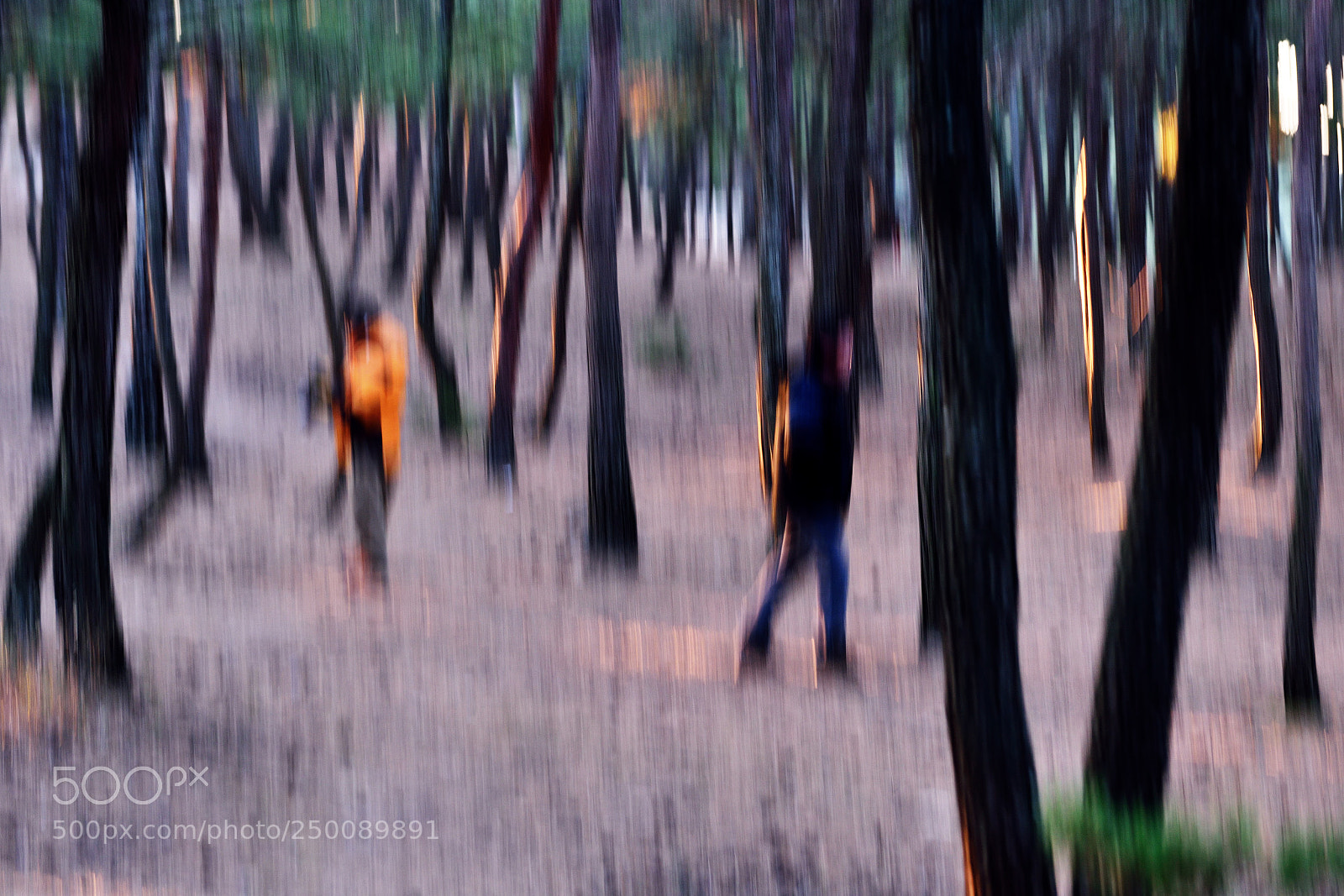 Nikon D810 sample photo. Walk. photography