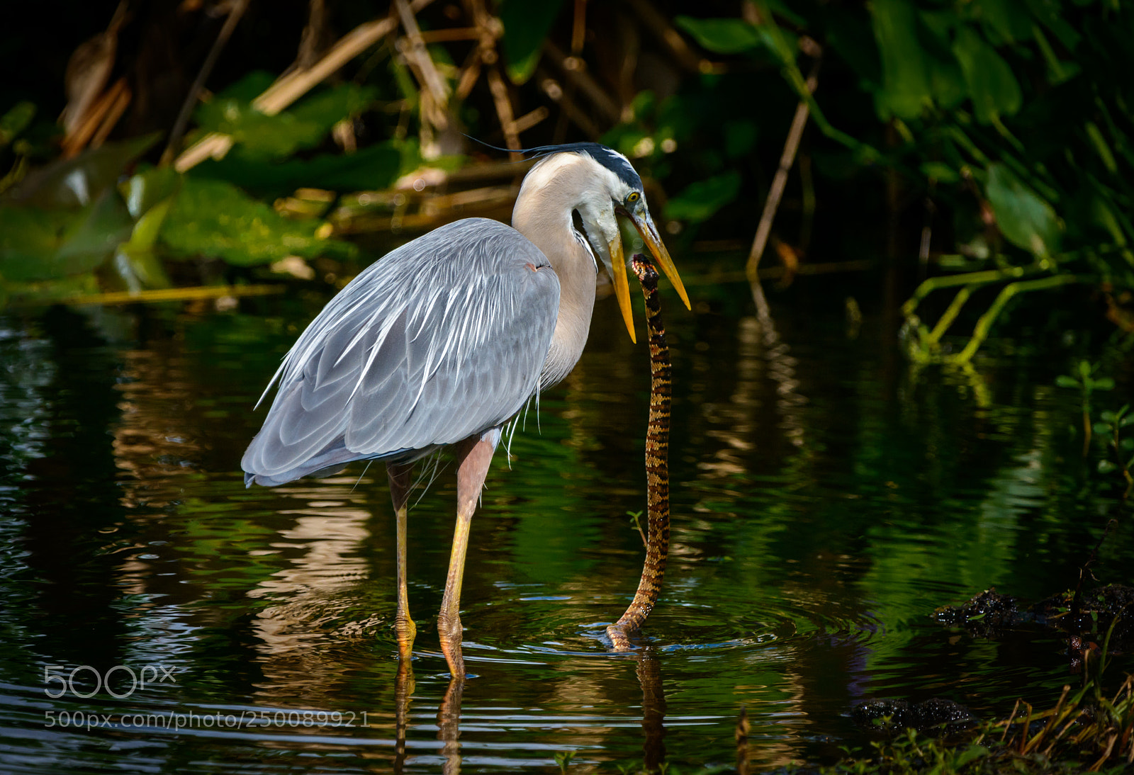 Nikon D800 sample photo. A long luch photography