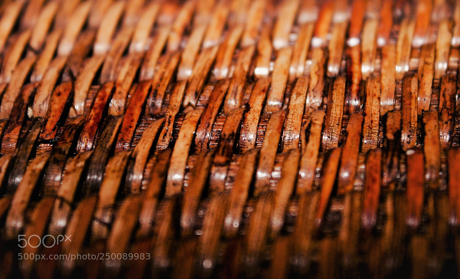 Canon EOS 20D sample photo. Repeating elements photography