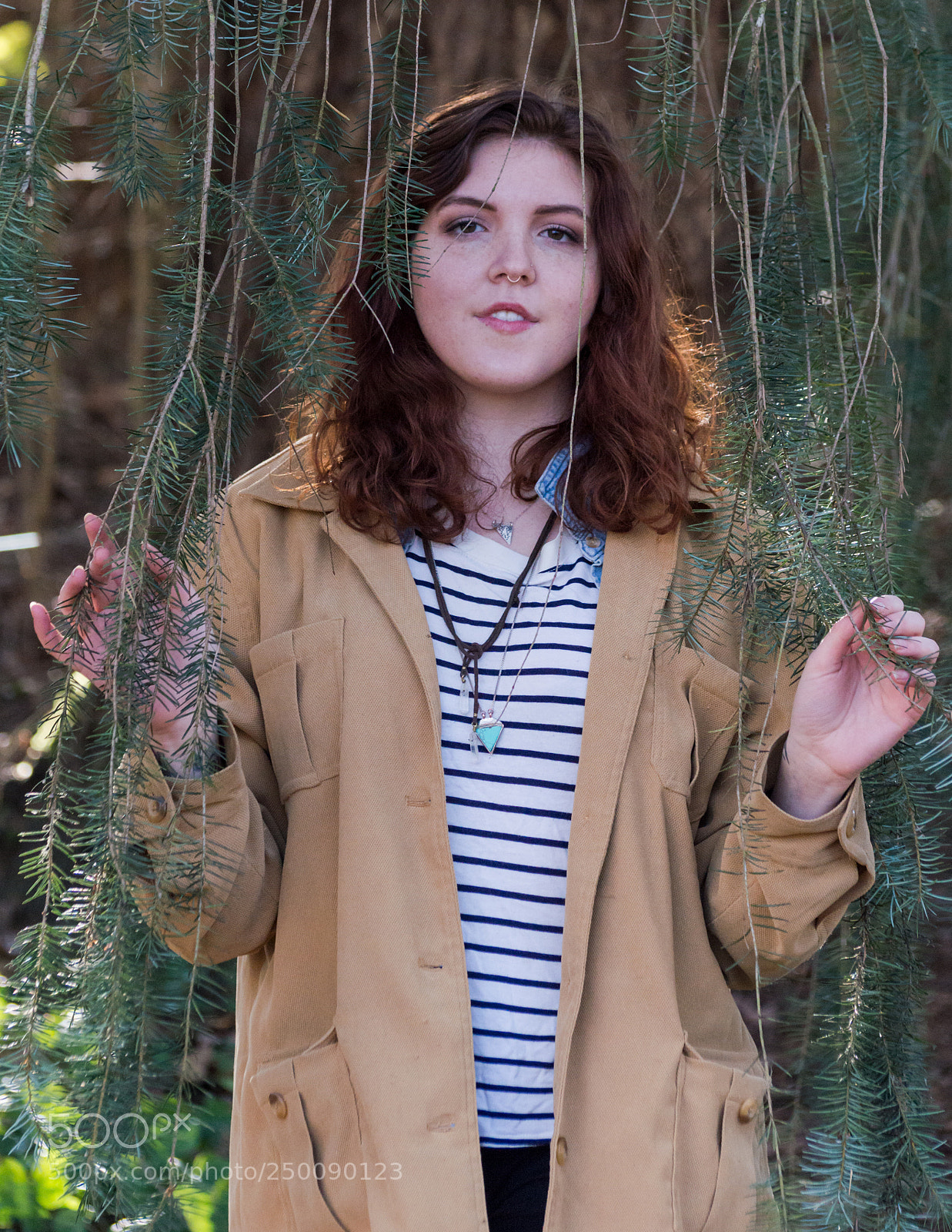 Nikon D3200 sample photo. Under the evergreen photography