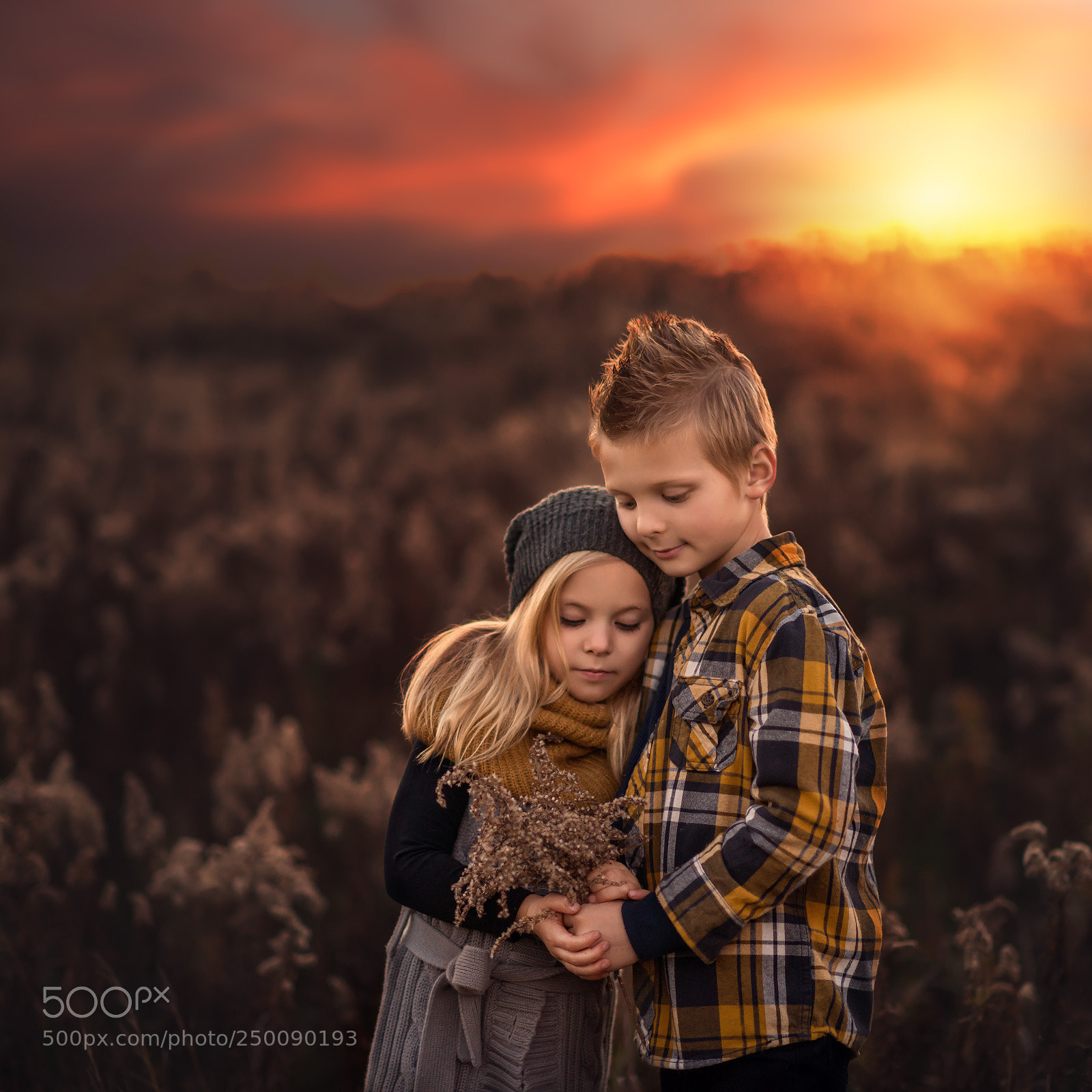 Nikon D800E sample photo. Alex+bella photography