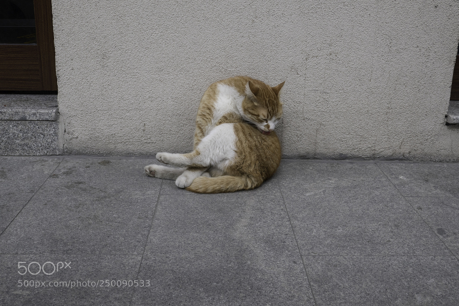 Panasonic Lumix DMC-ZS100 (Lumix DMC-TZ100) sample photo. Istanbul march photography
