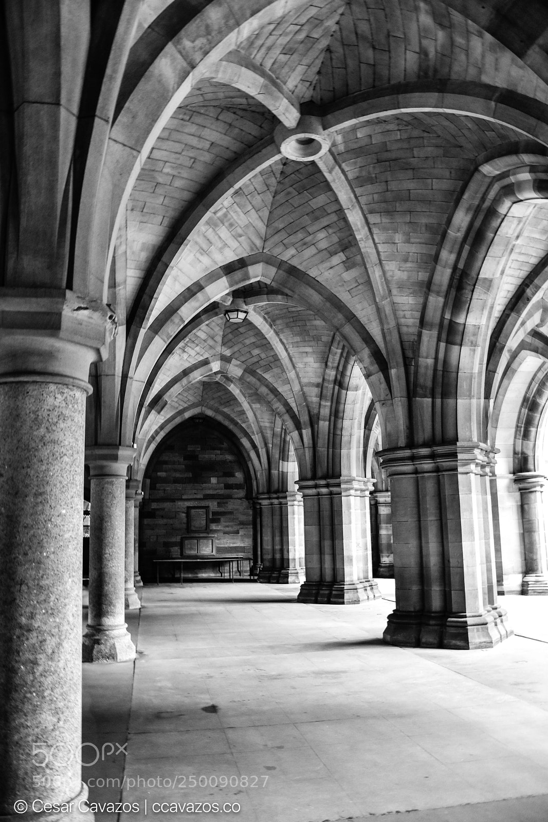 Nikon D3400 sample photo. University of glasgow photography