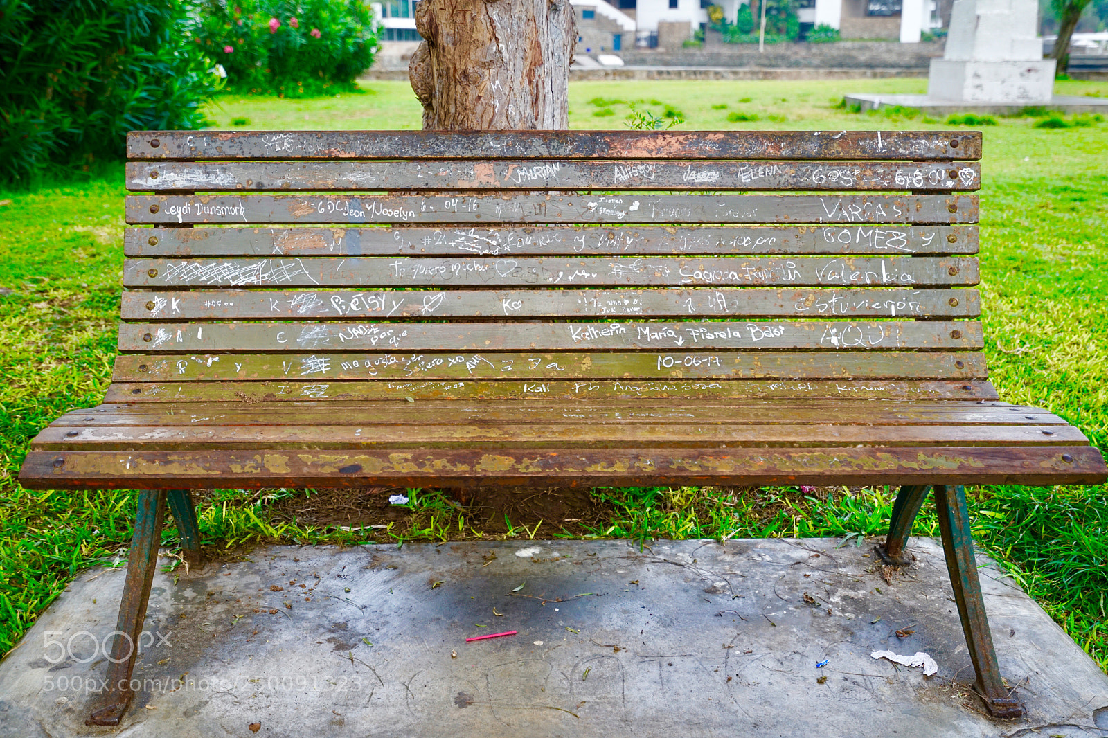 Sony a7R II sample photo. A bench with names photography