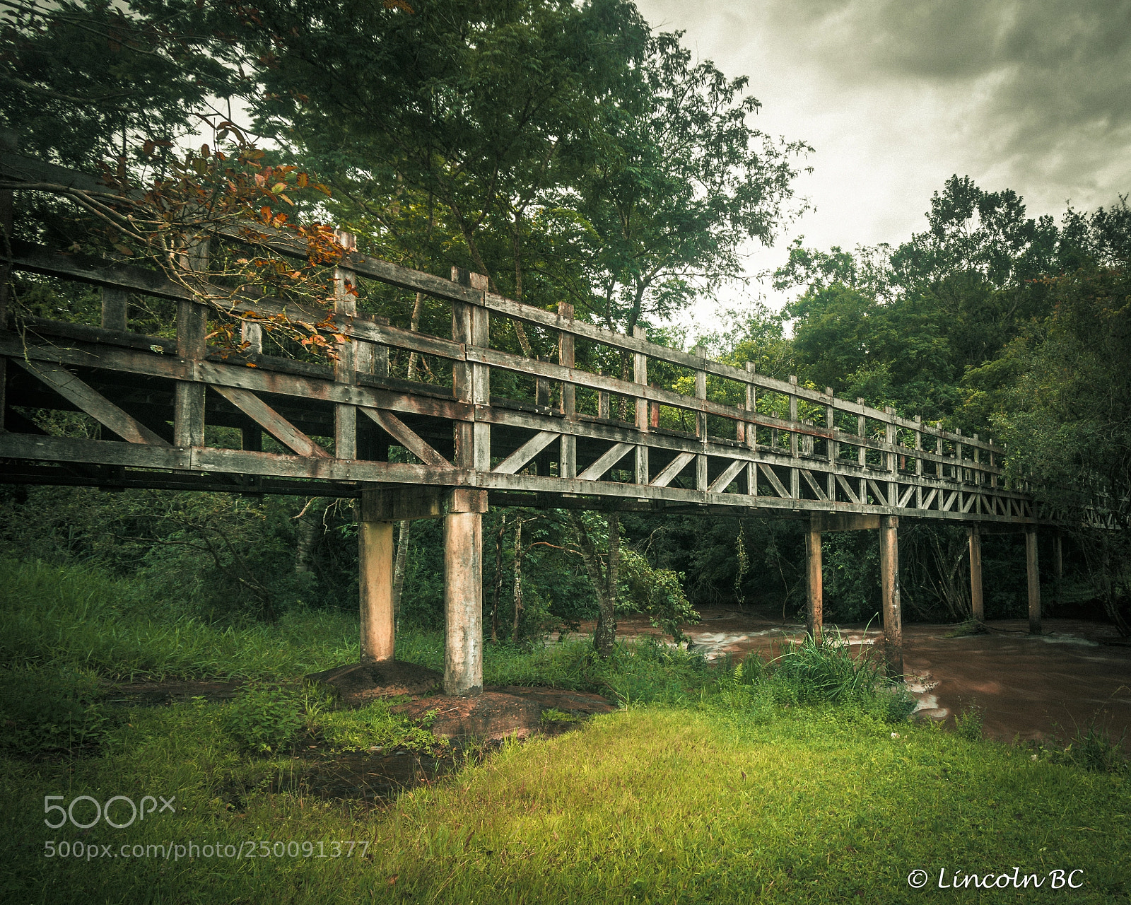 Nikon D5300 sample photo. Ponte photography